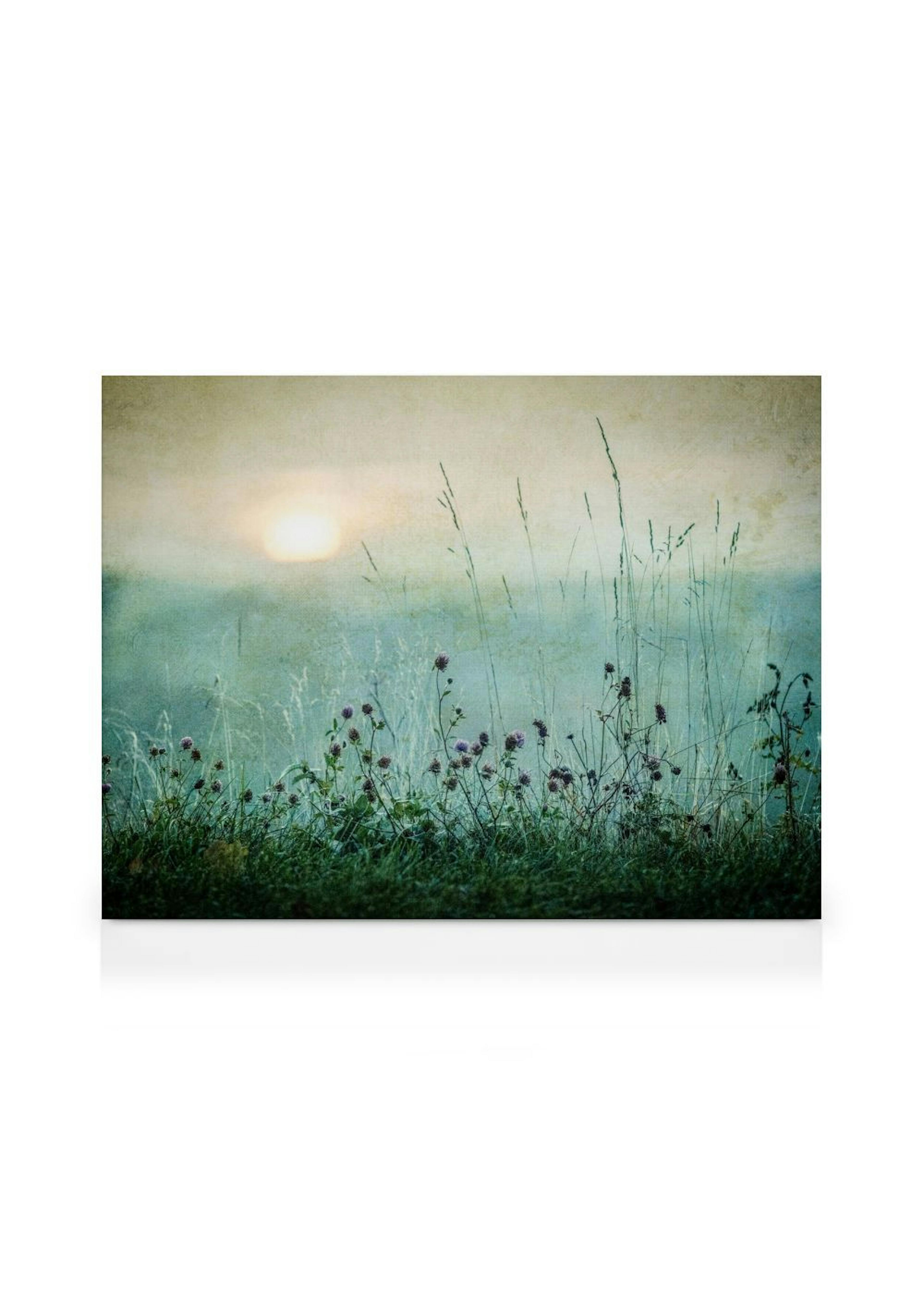 Meadow In Dawn Canvas print