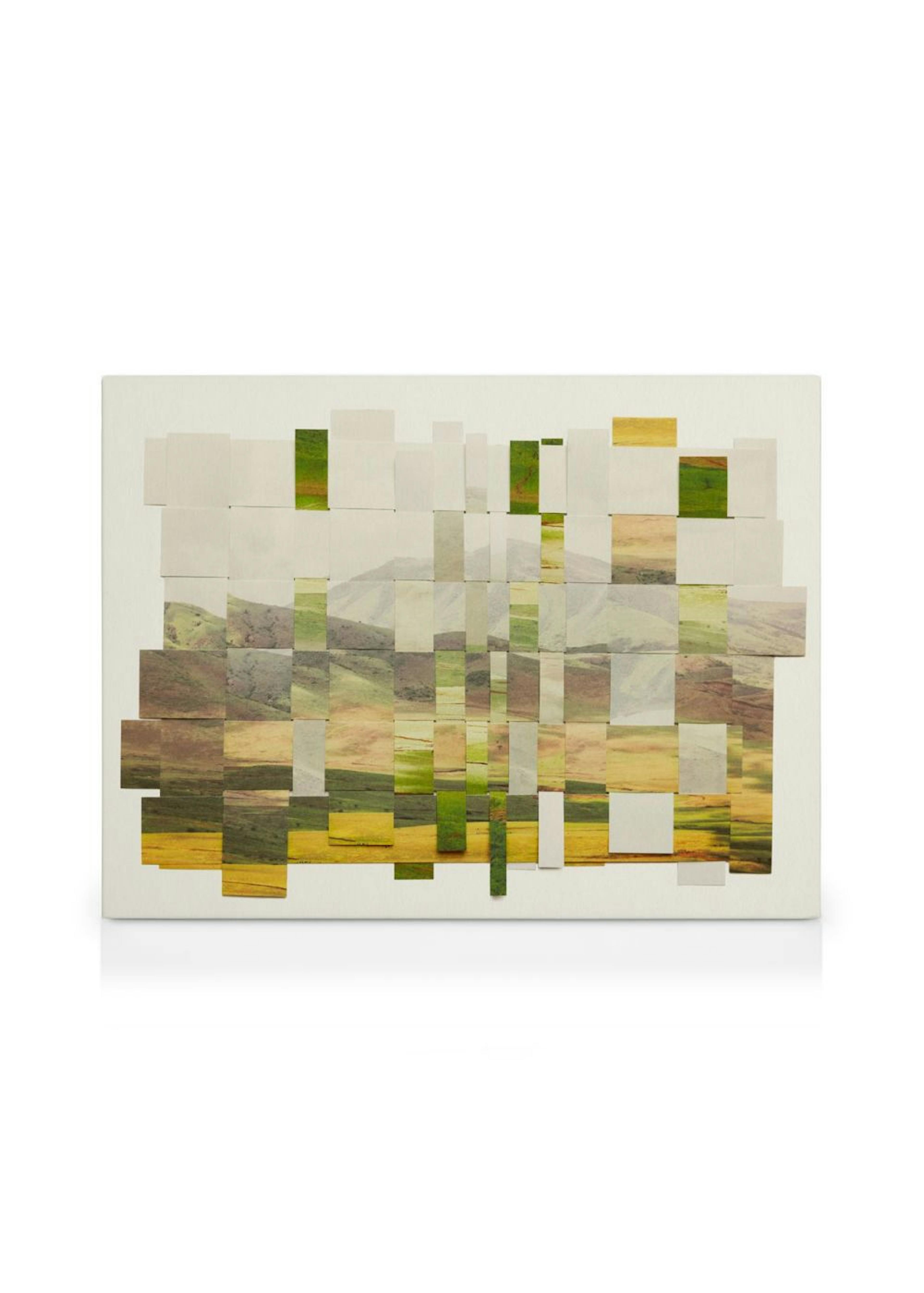 Woven Landscape Toile