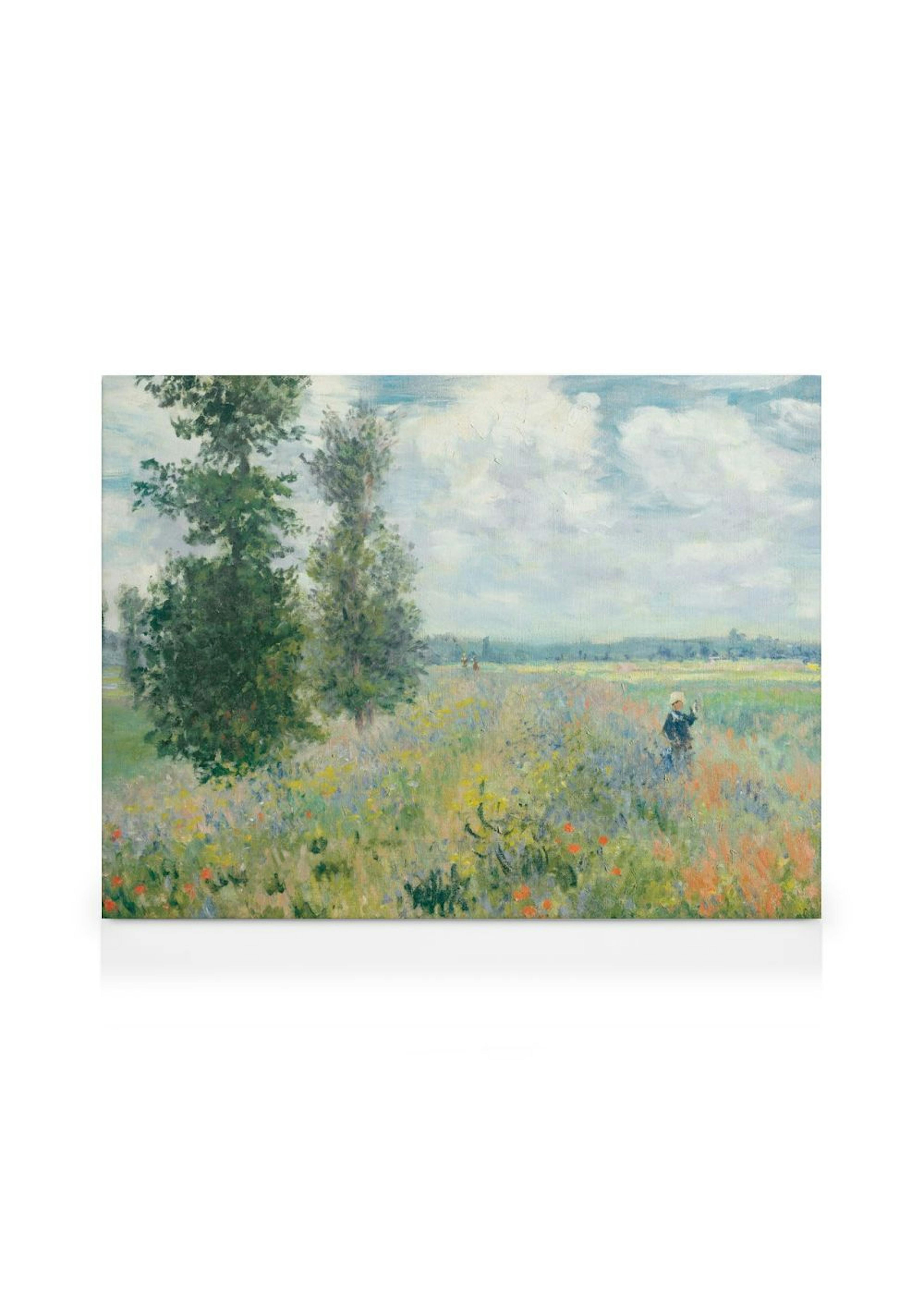 Monet - Poppy Fields Near Argenteuil Landscape Leinwand
