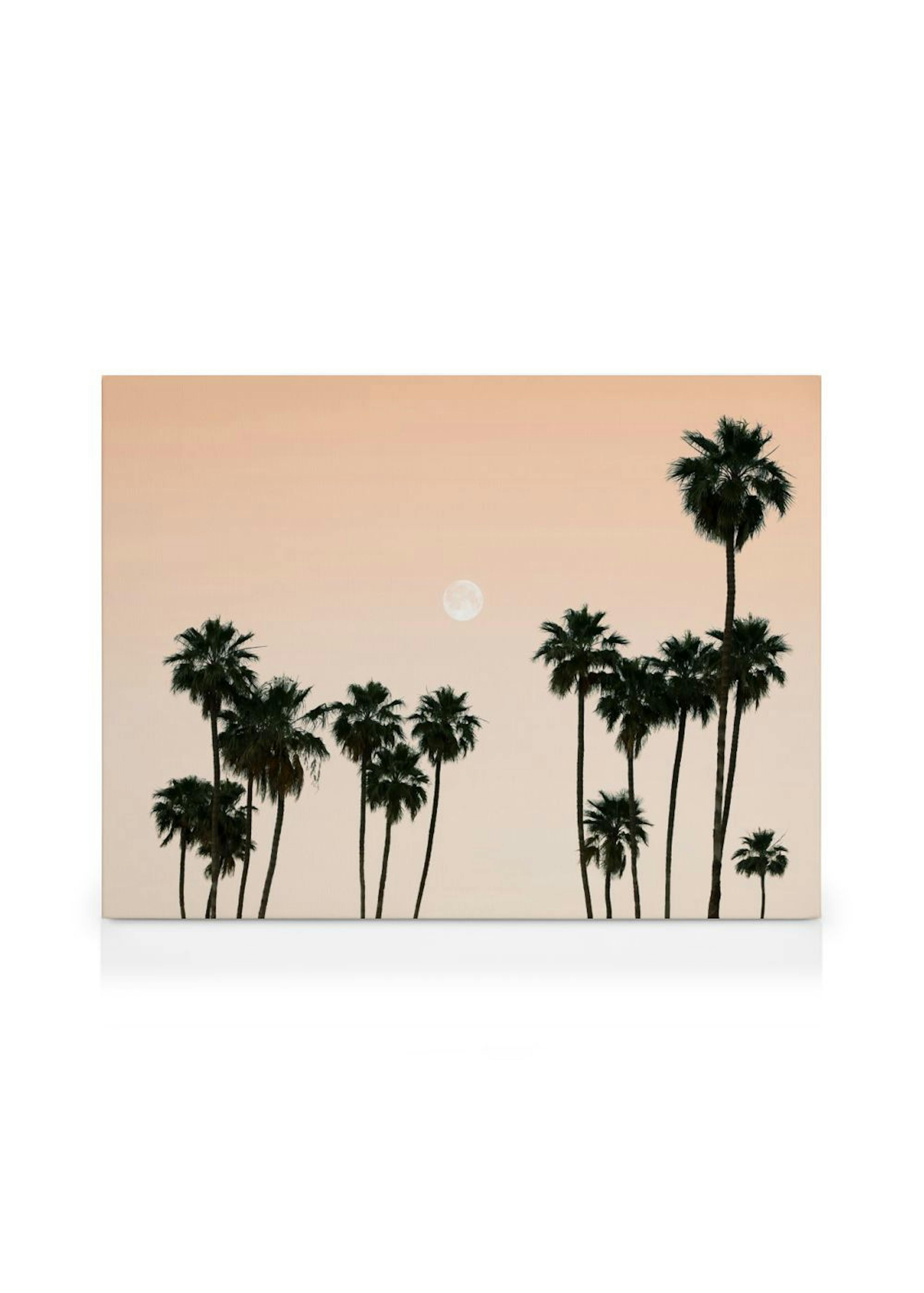 Product image: 1