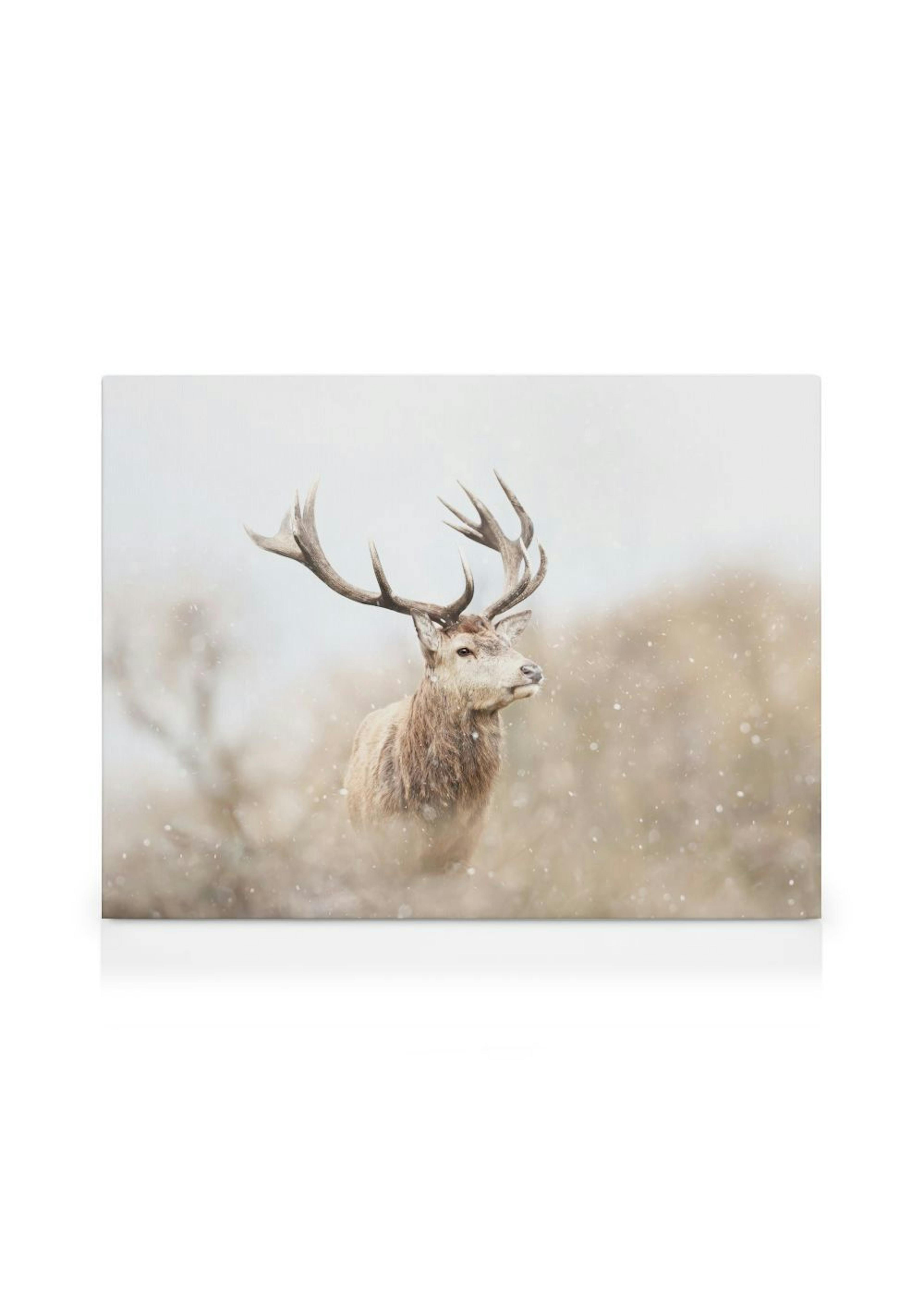 Product image: 1