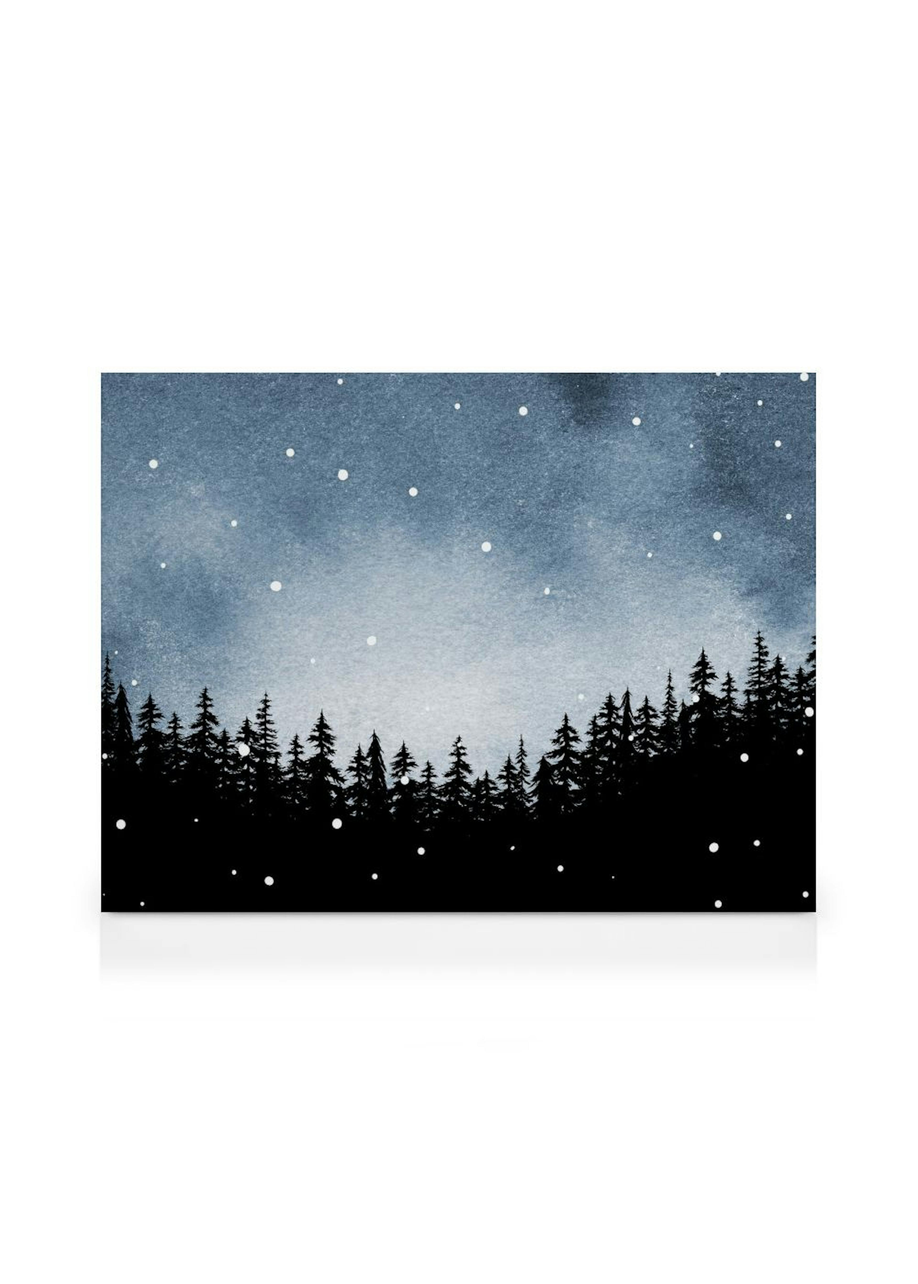 Enchanting Night Canvas print