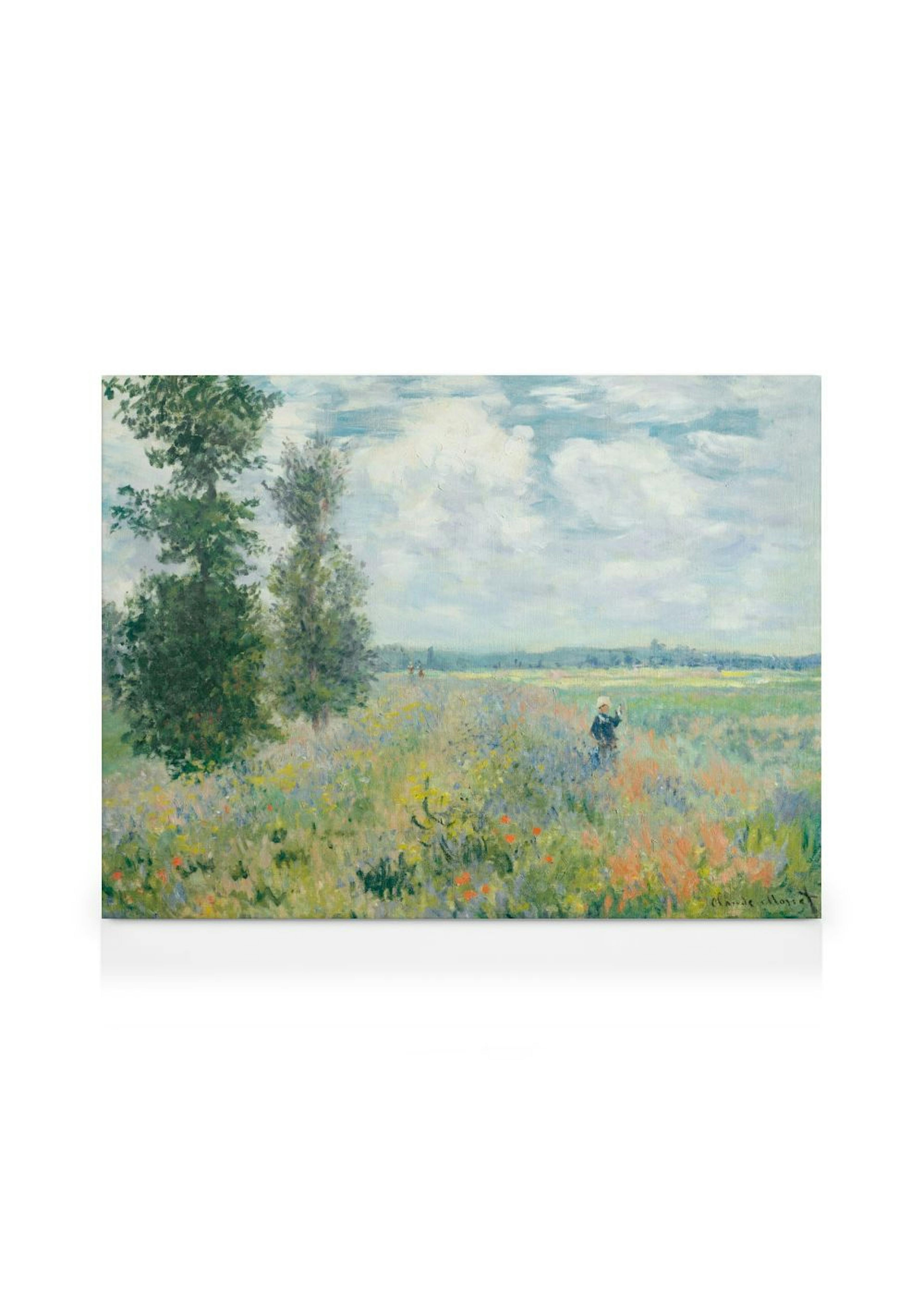 Monet - Poppy Fields near Argenteuil Canvas print