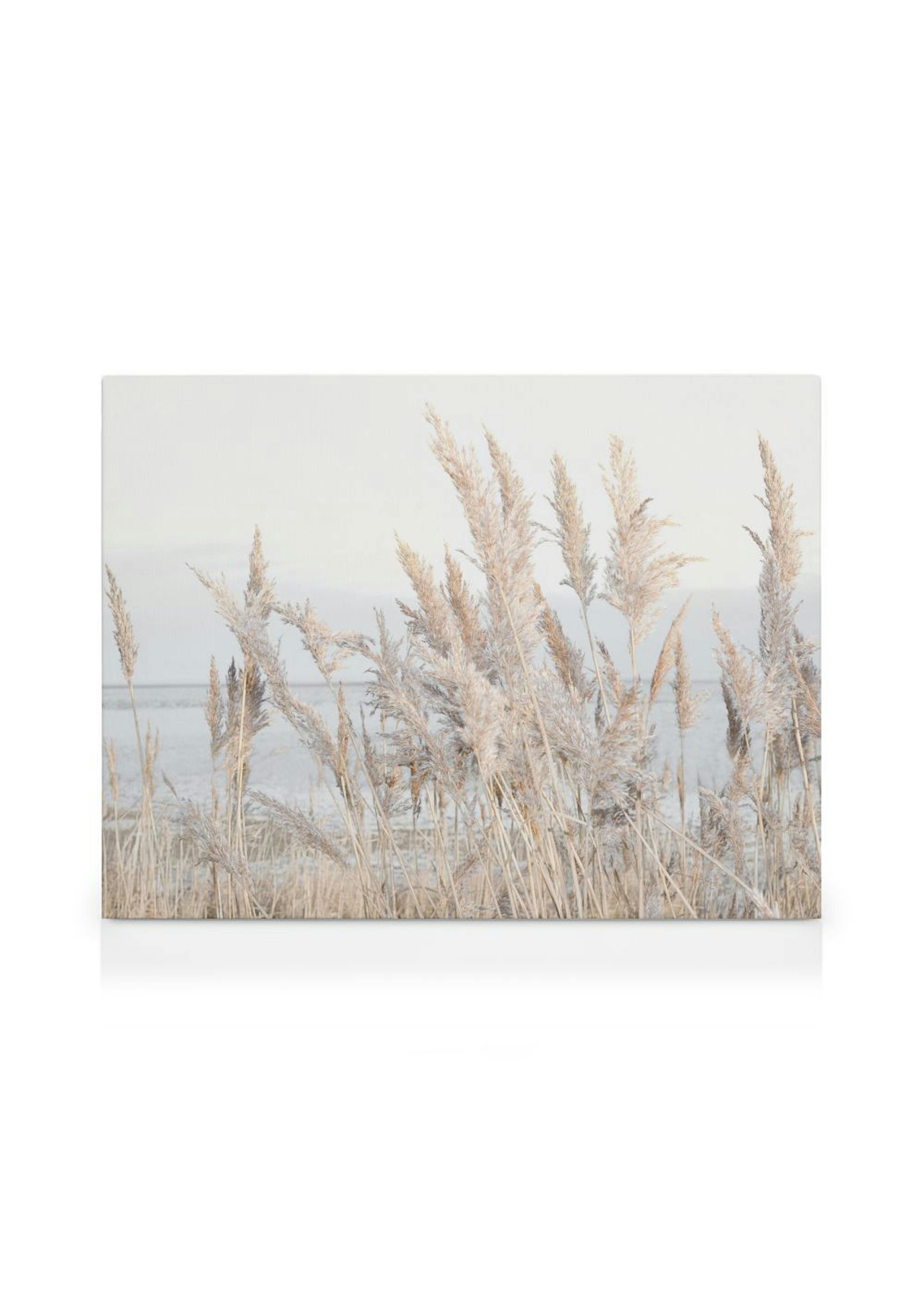Reeds by the Sea Canvas