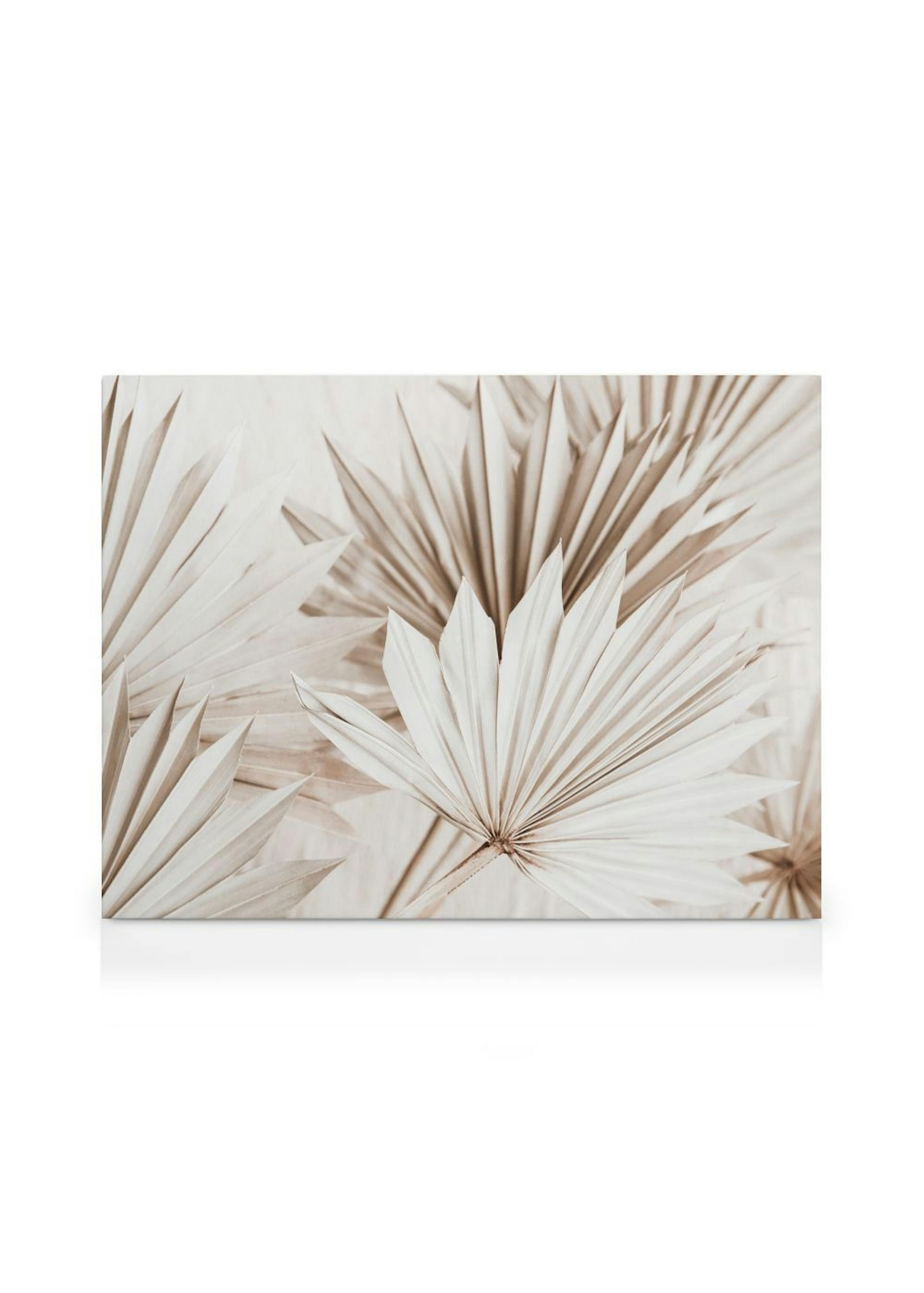 Product image: 1