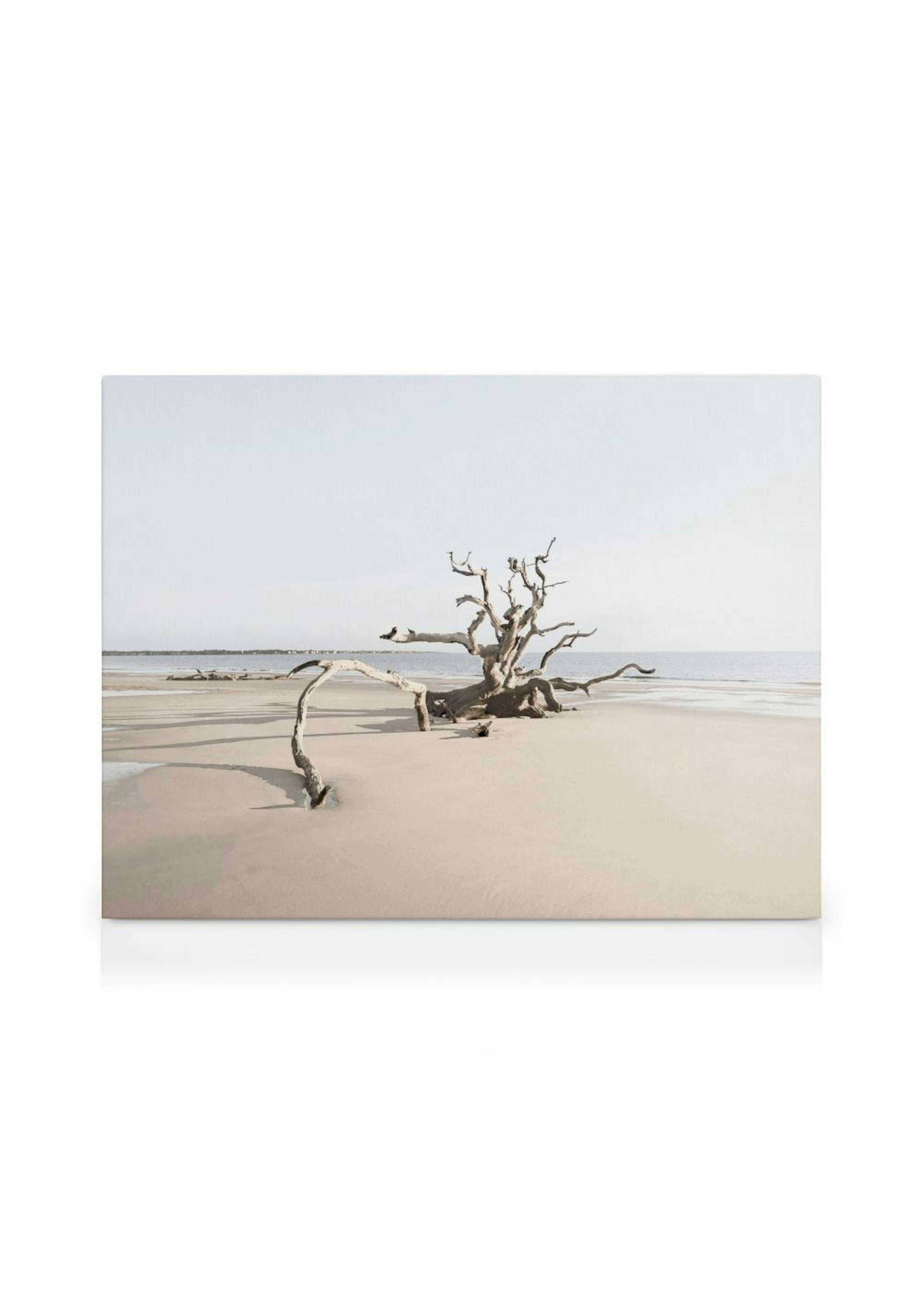 Product image: 1