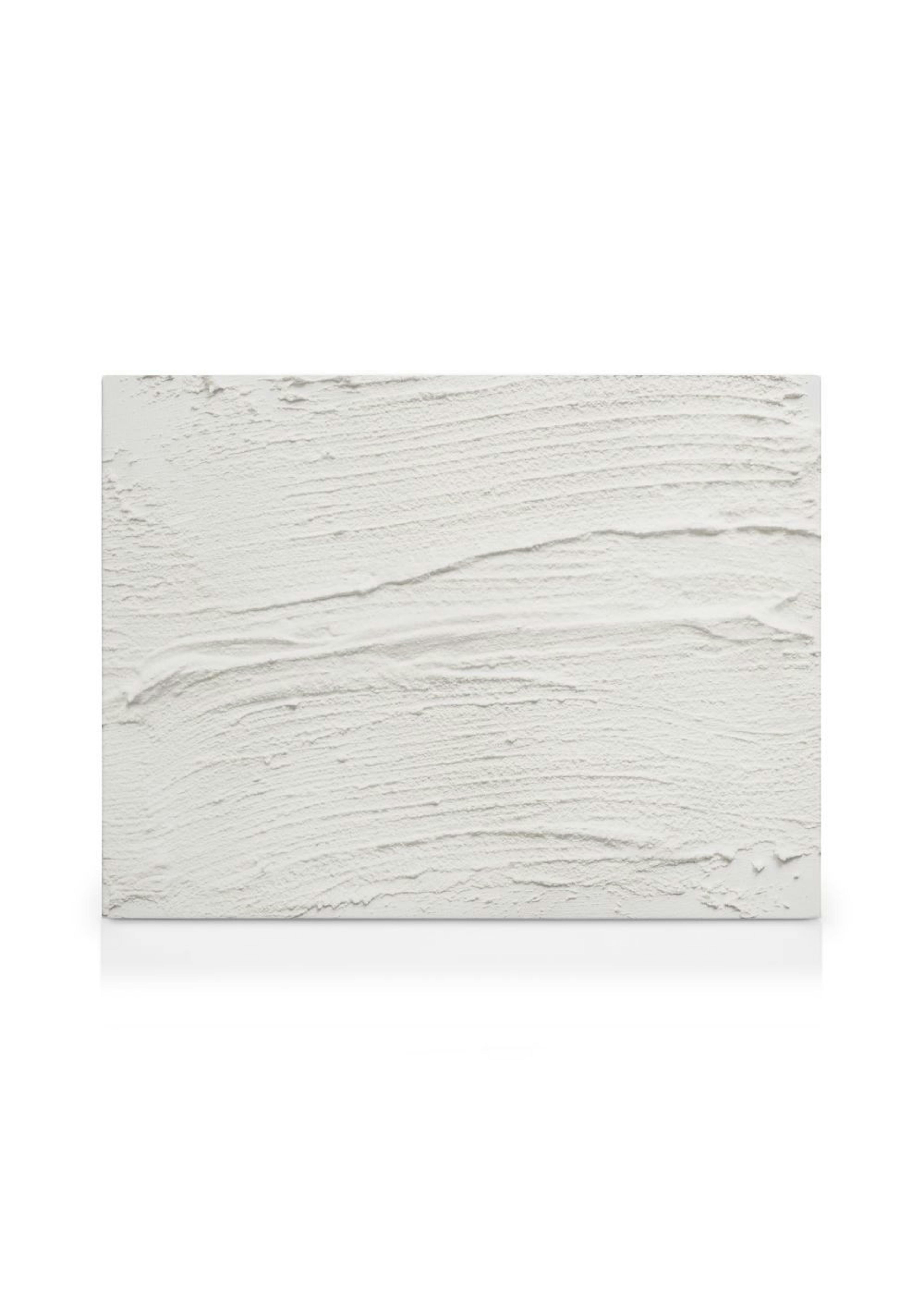Plaster Texture Toile