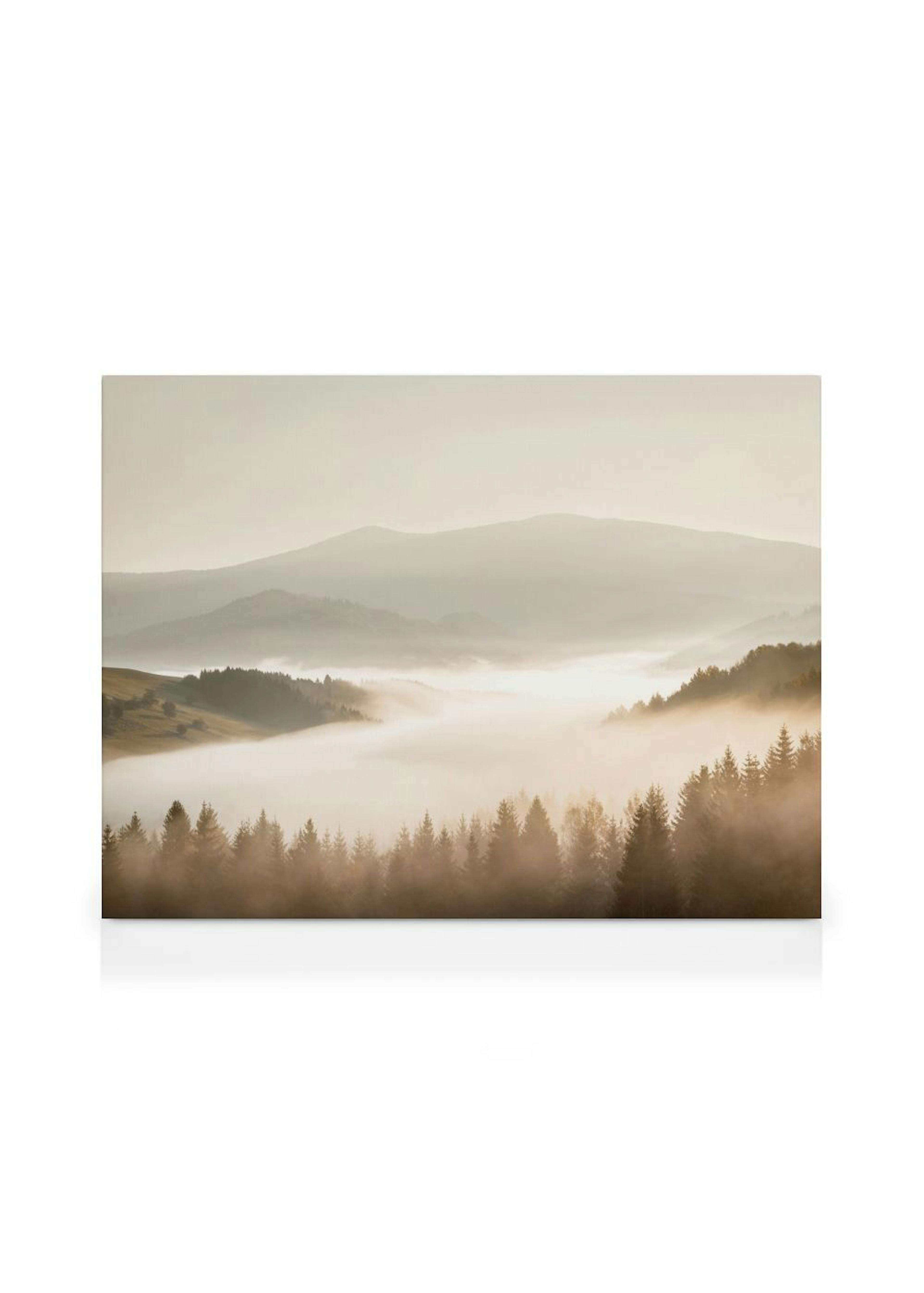 Misty Landscape Canvas print