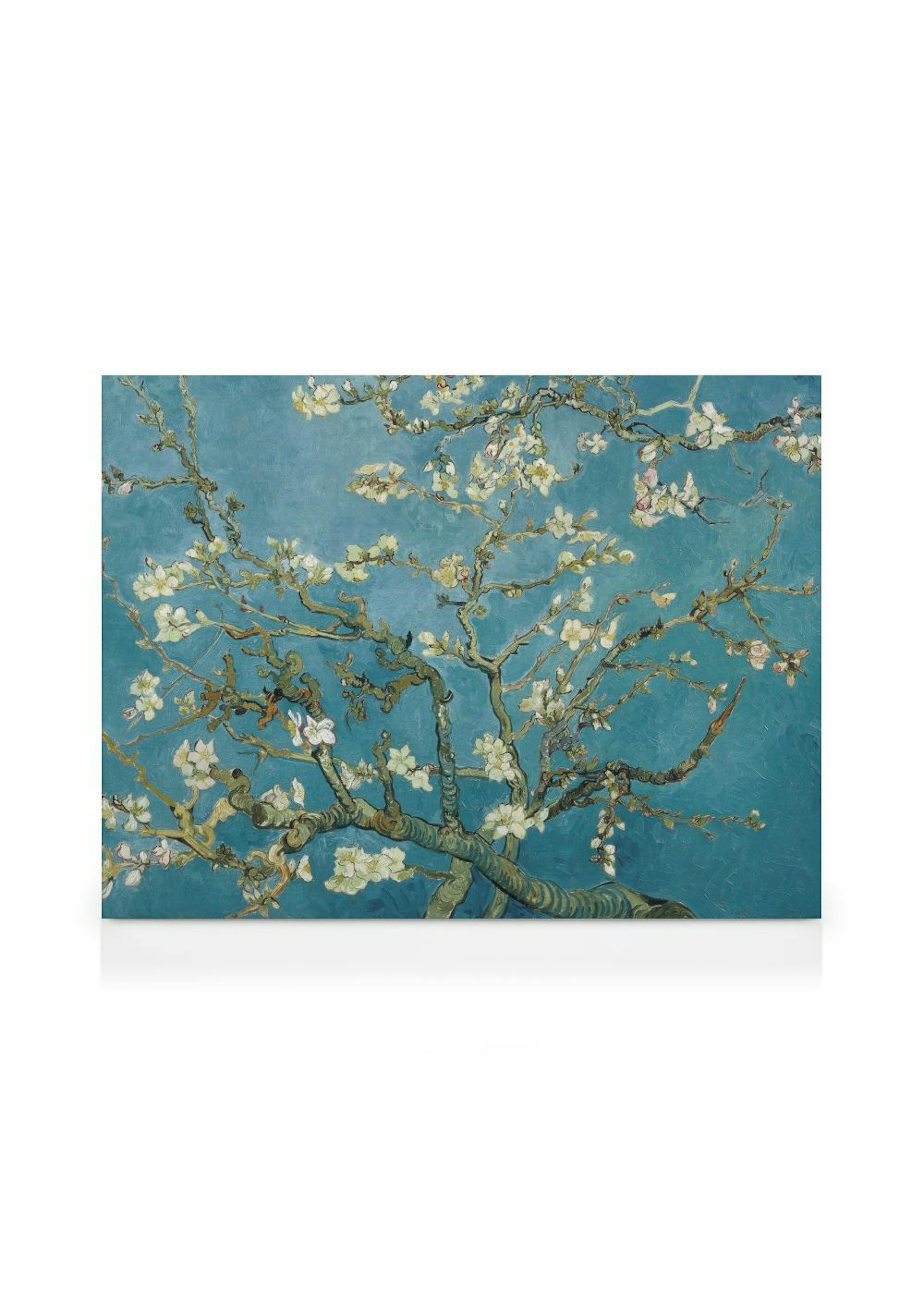 Van Gogh - Almond Blossom Canvas print