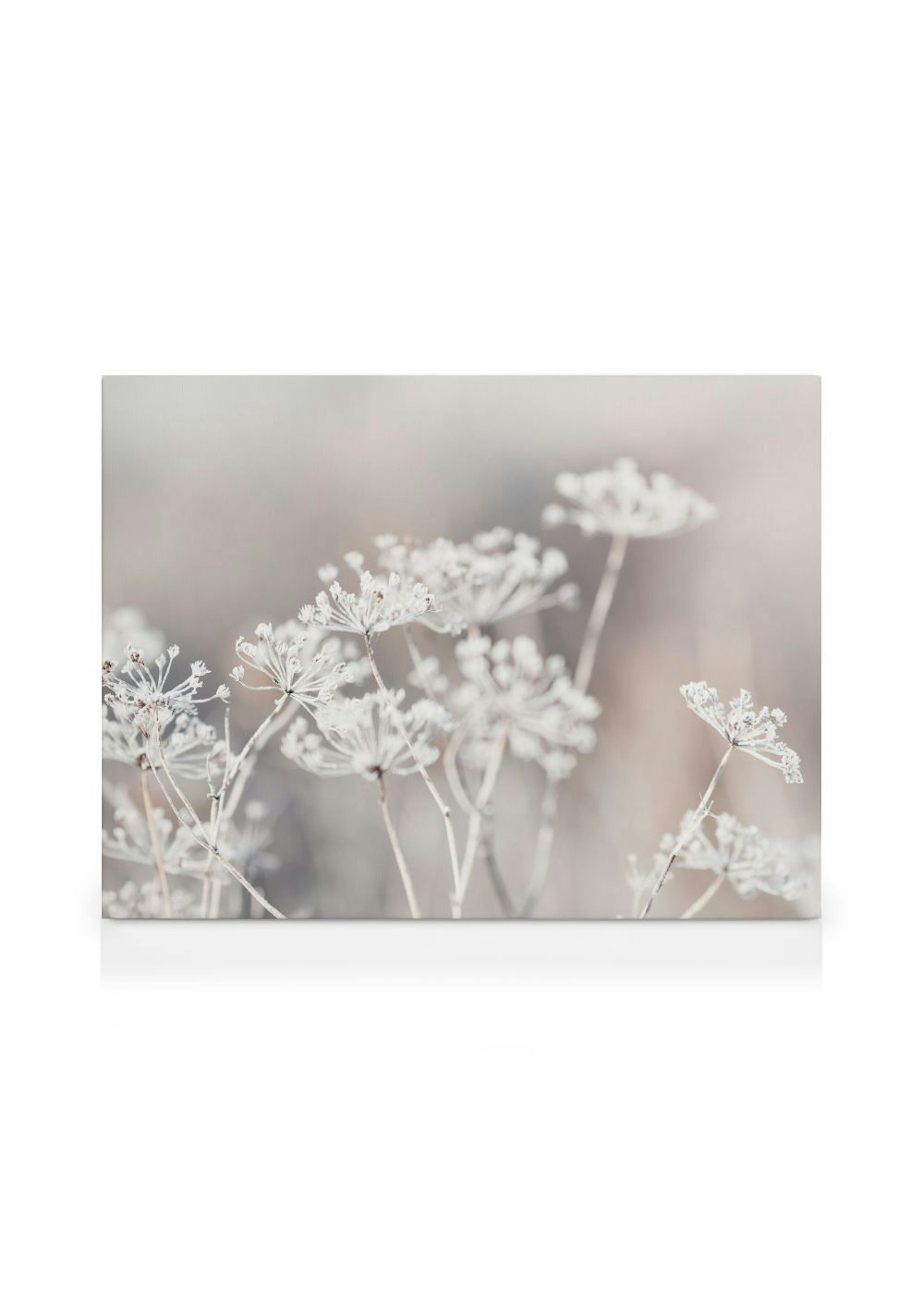 Frozen Botanical Canvas print