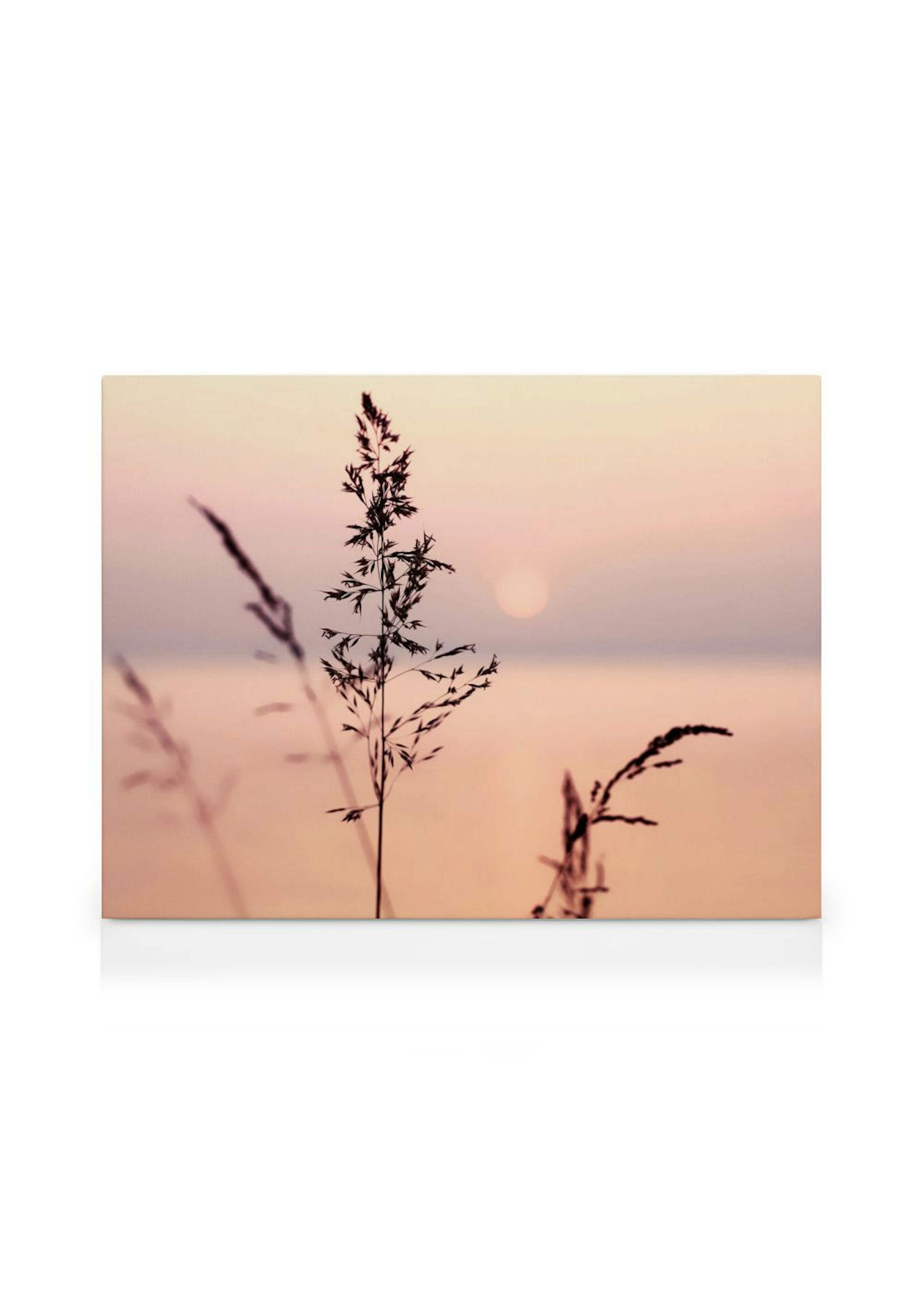 Product image: 1