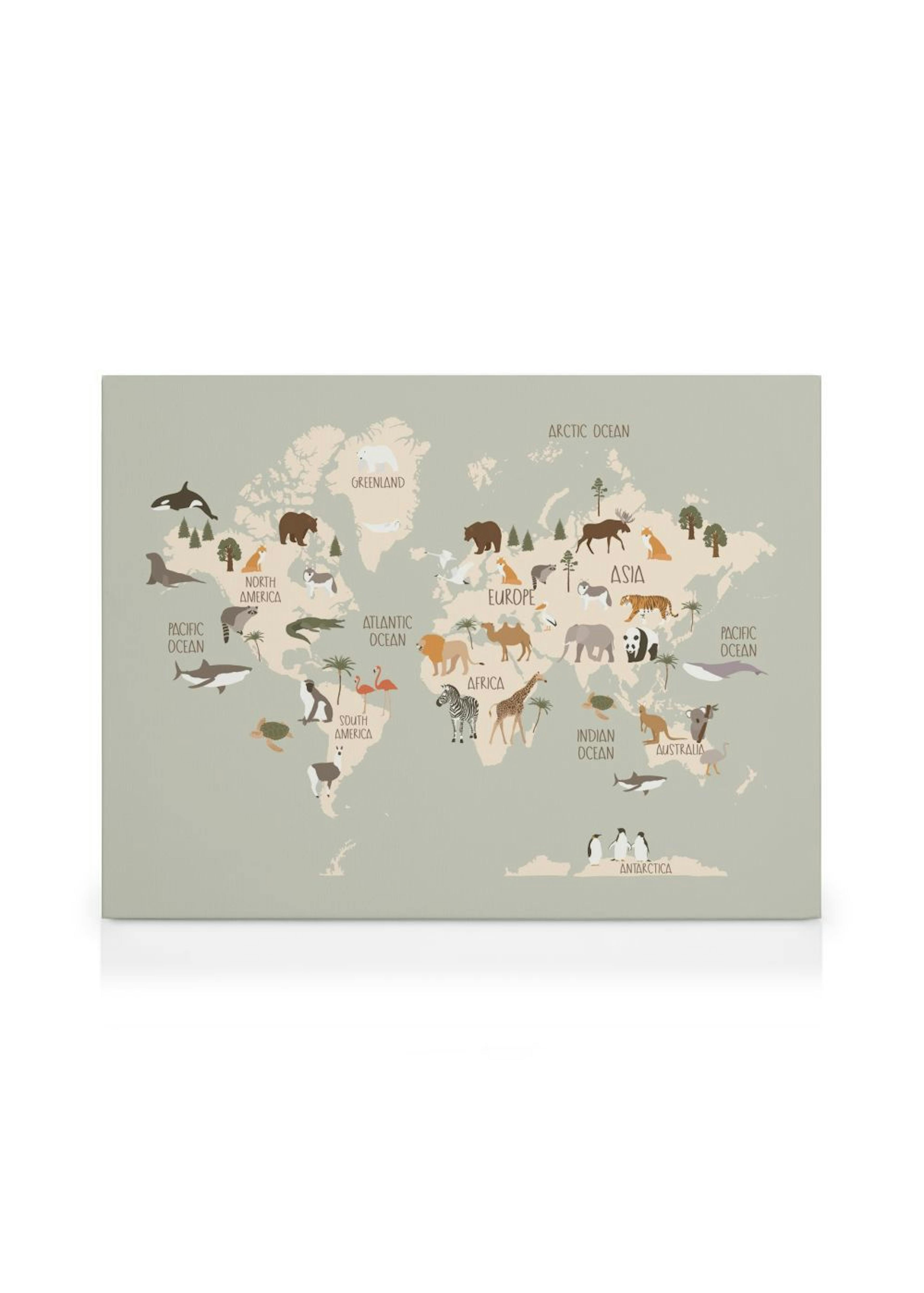 Animals of the World Map Tela