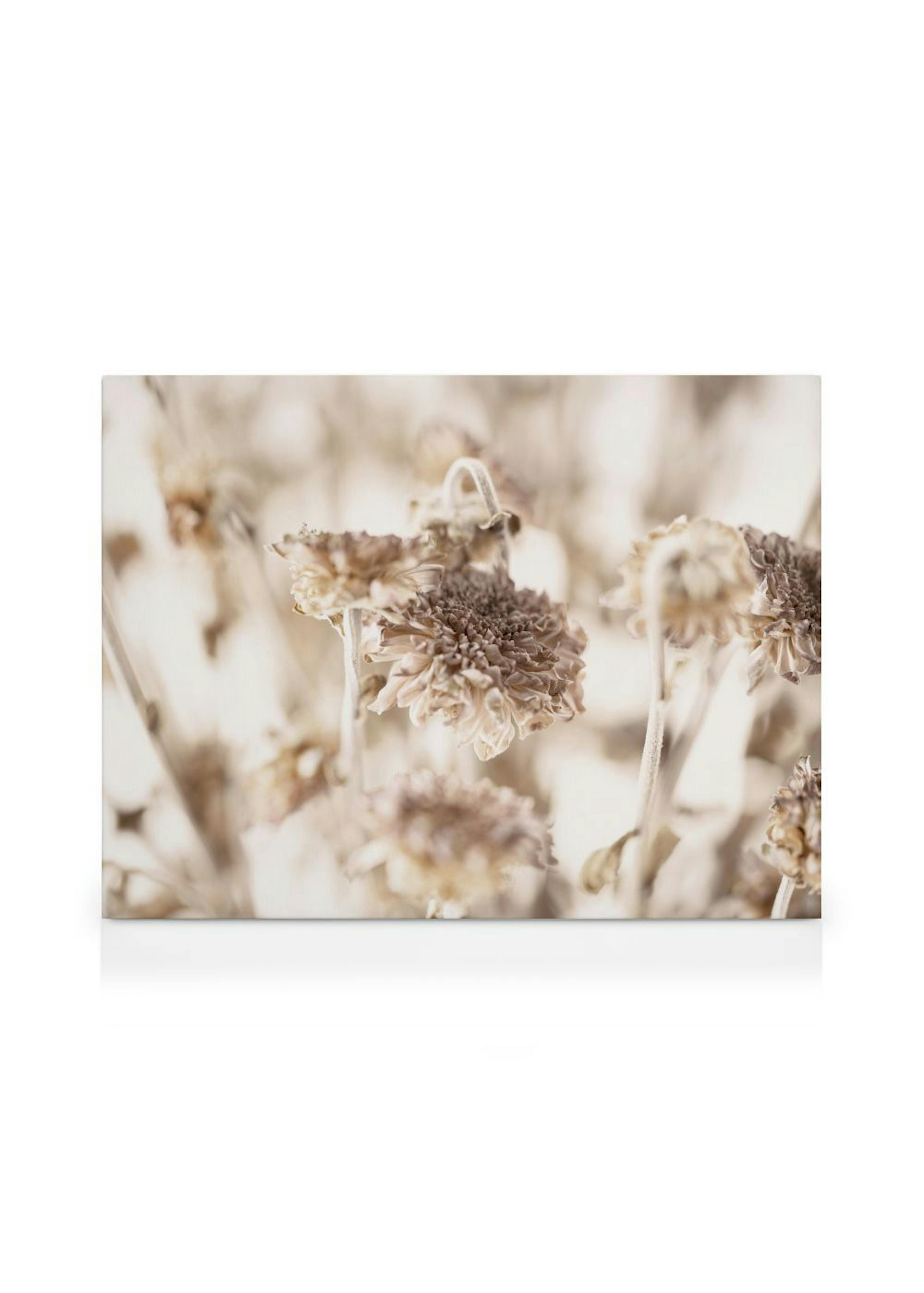 Product image: 1