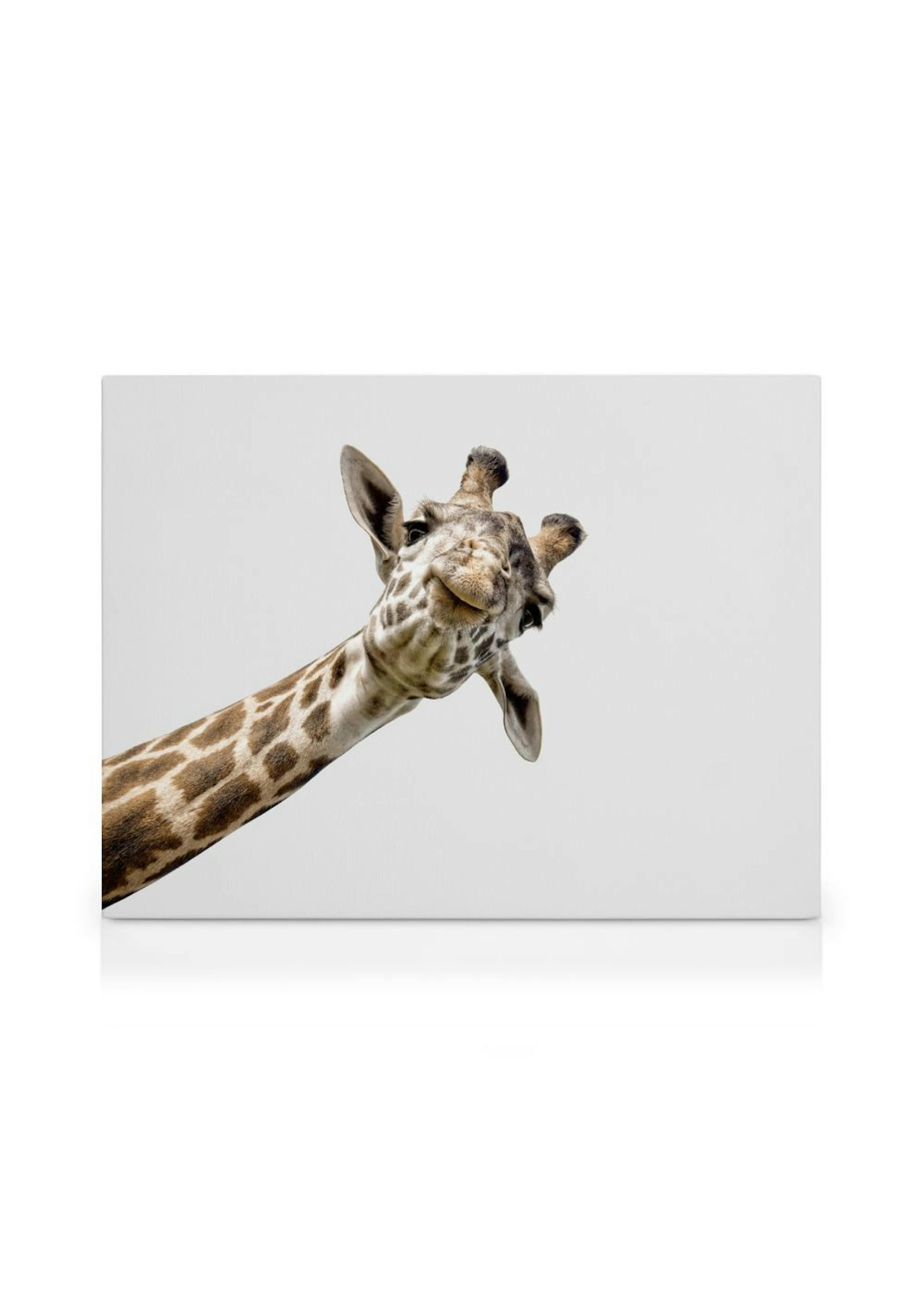Product image: 1