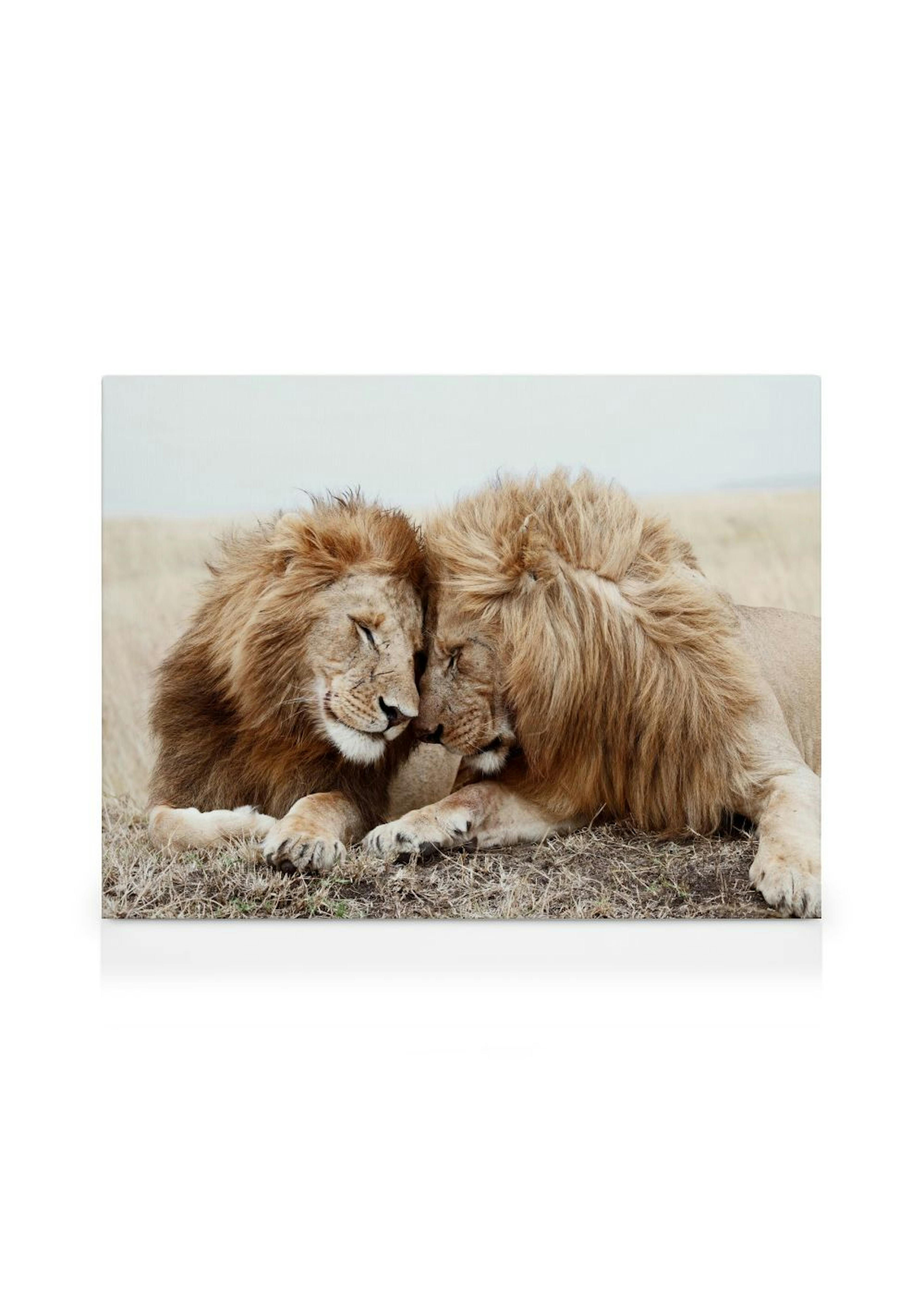 Product image: 1