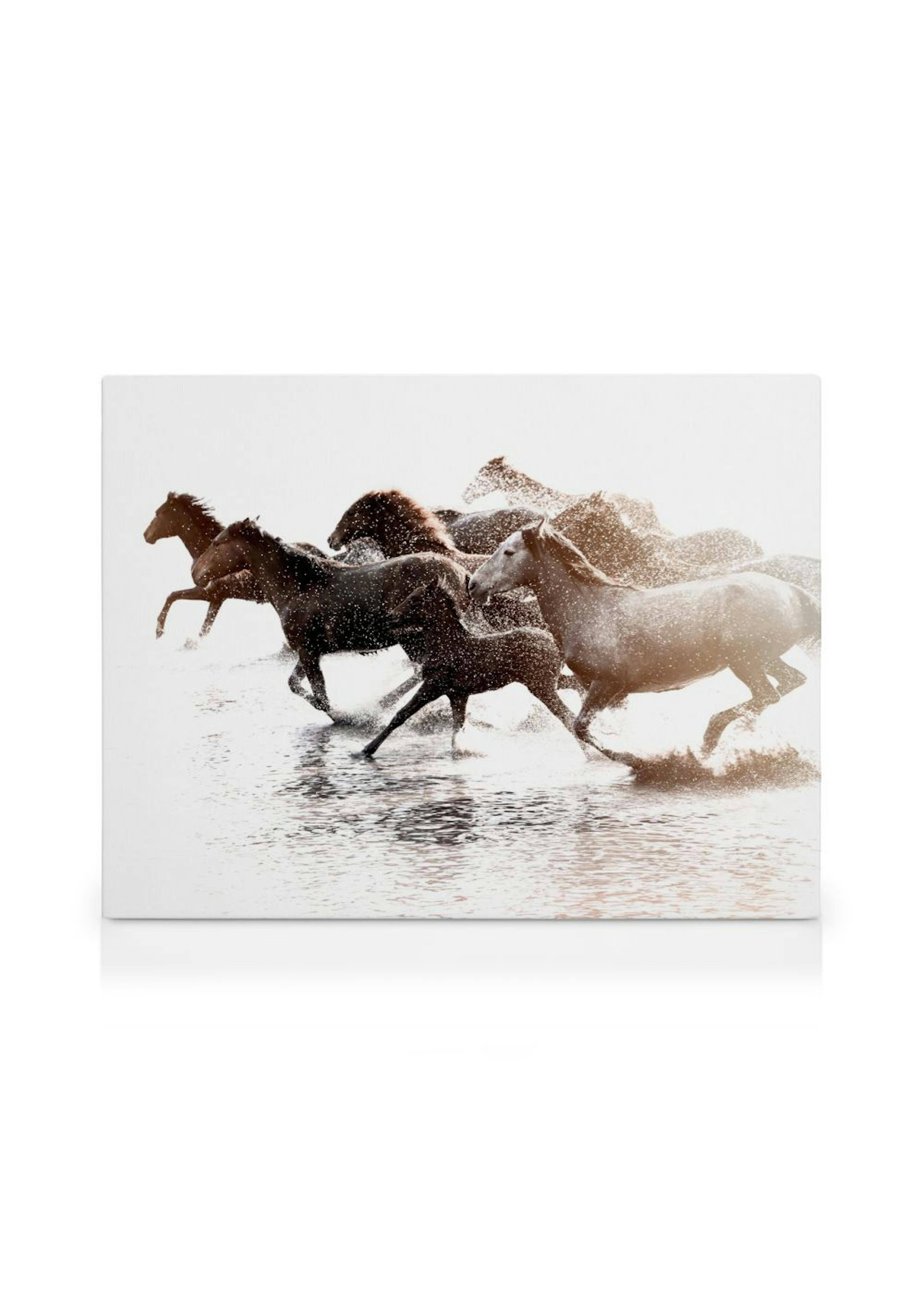 Product image: 1