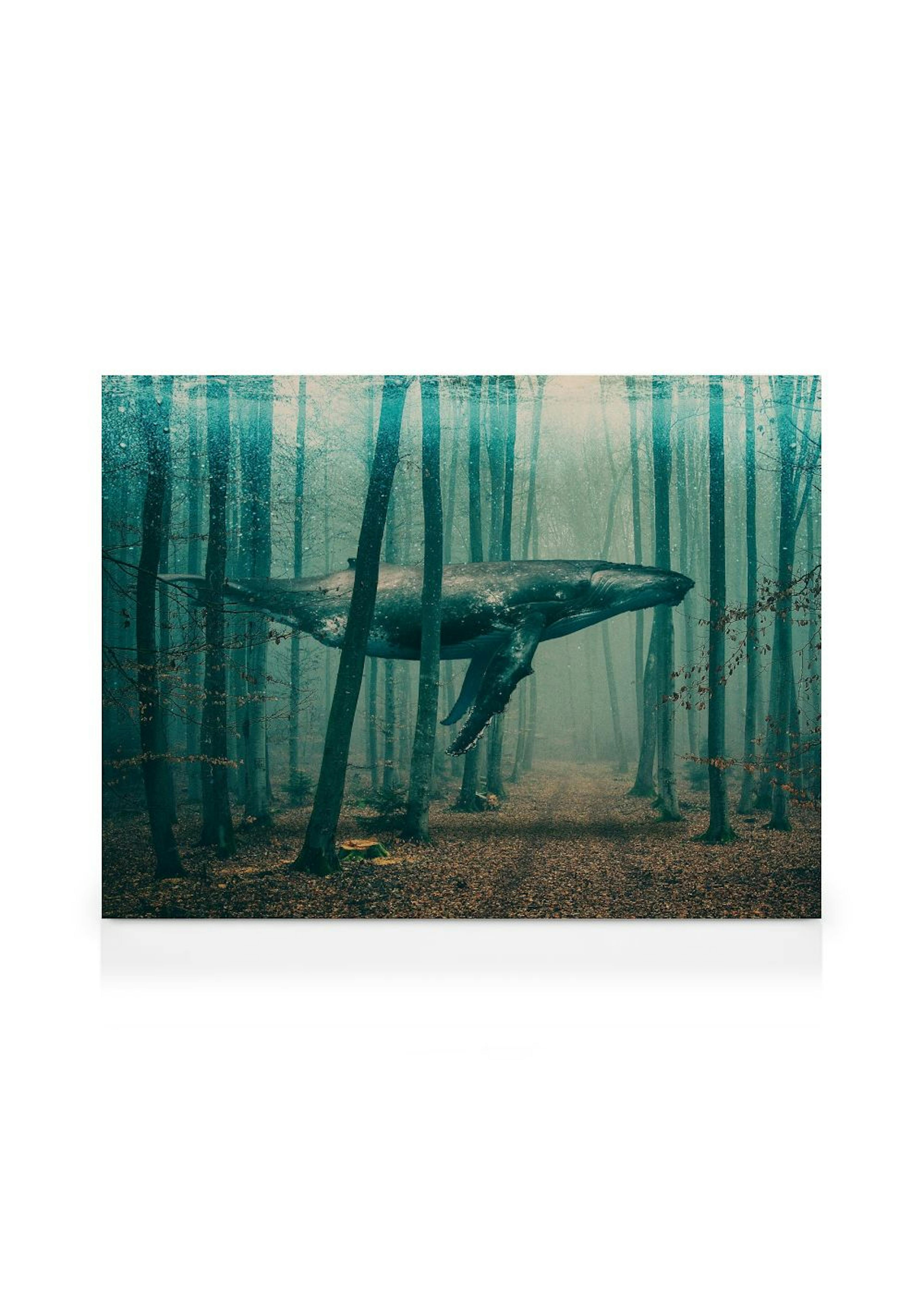 Whale in Forest Canvas