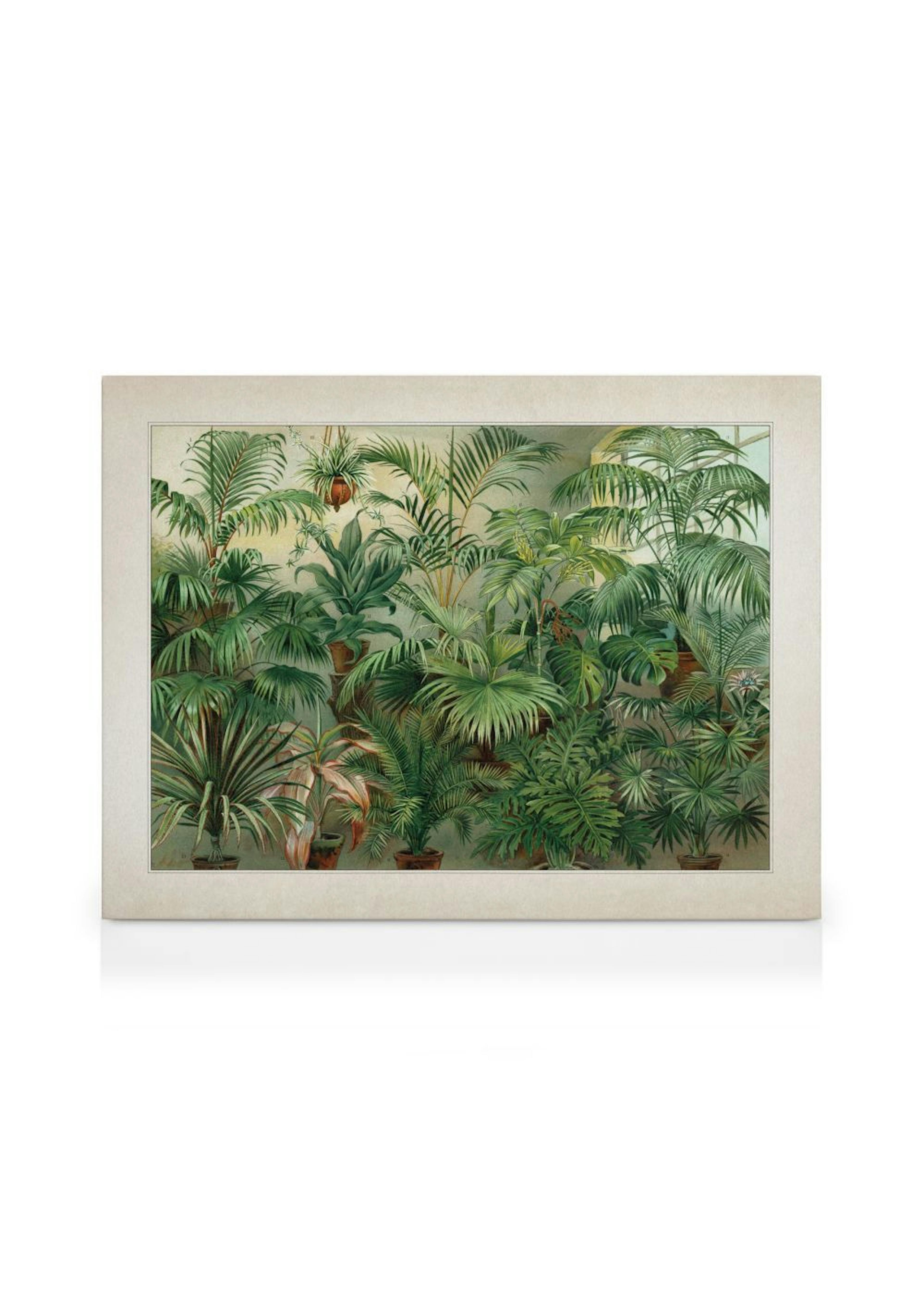 Vintage Print Collection No8 Lienzo