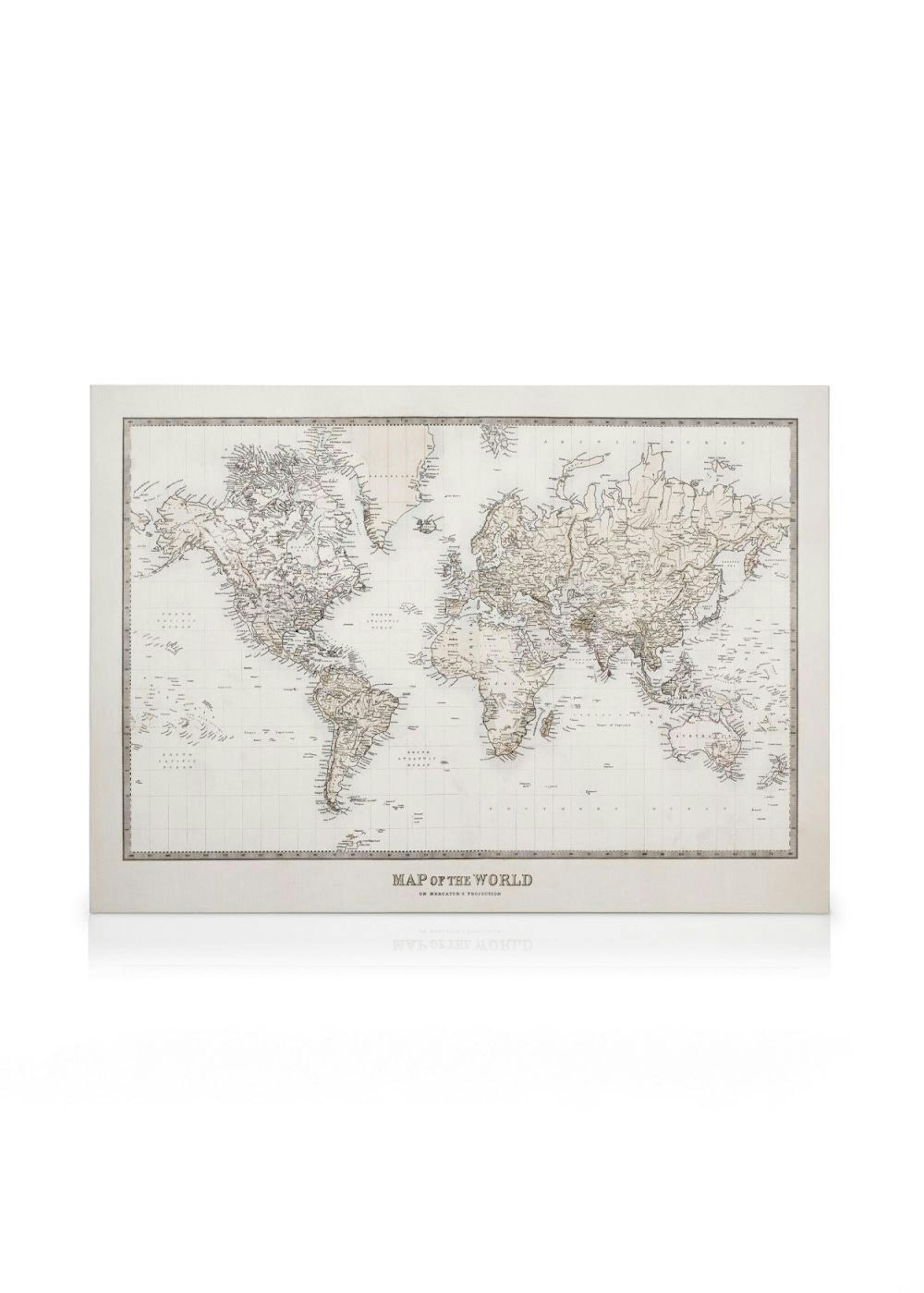 Map of the World Toile