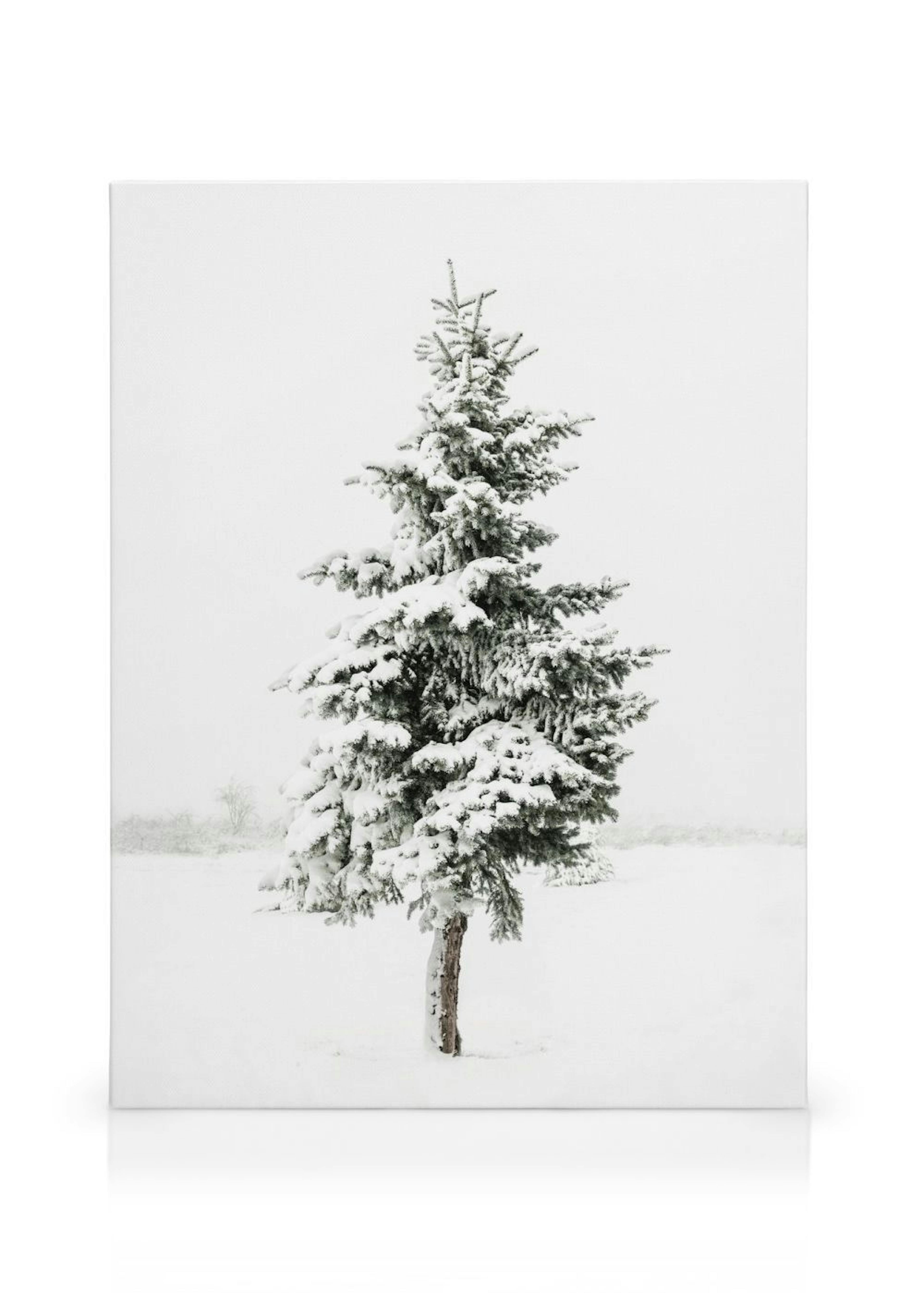 Product image: 1