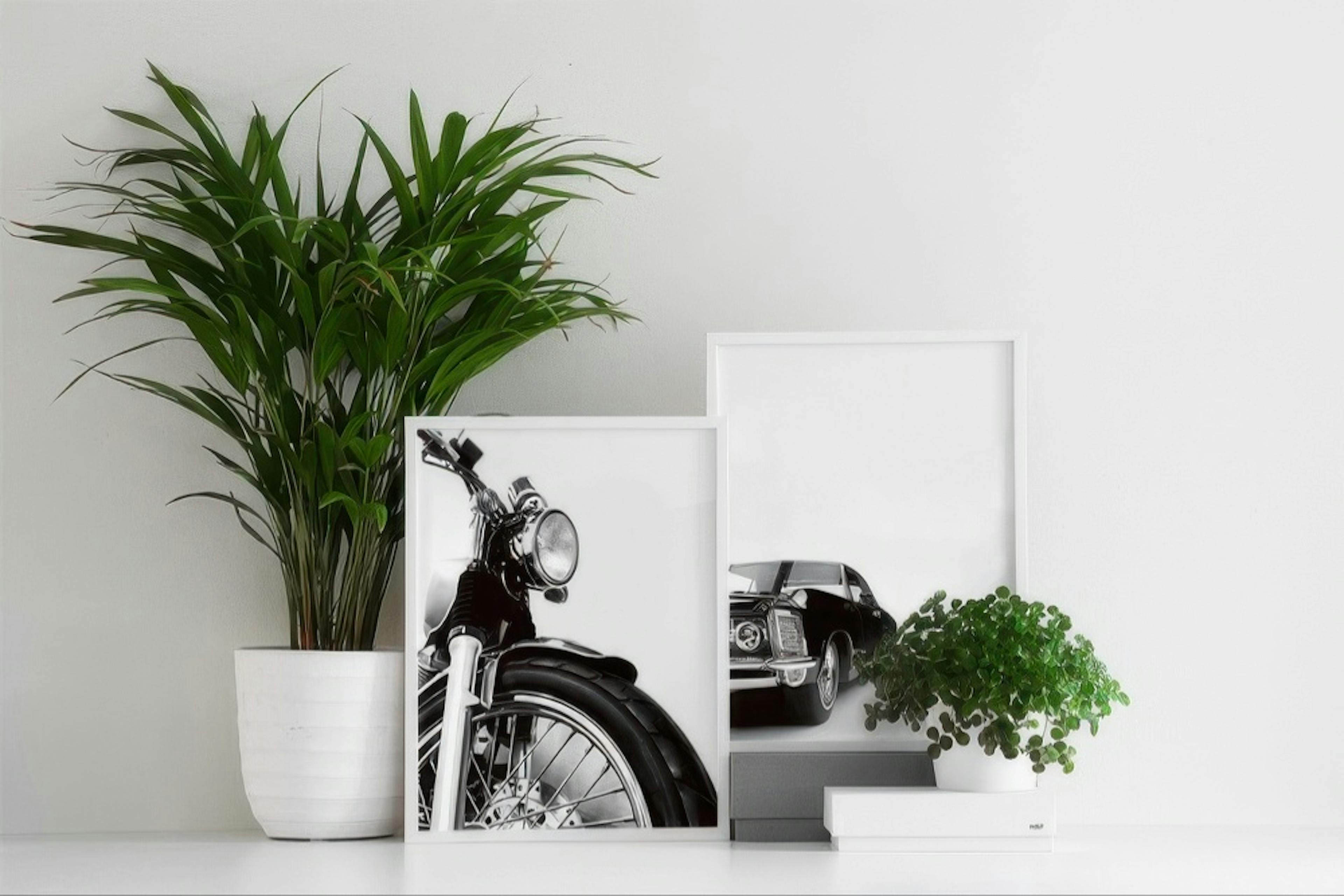 Motorbike, Poster