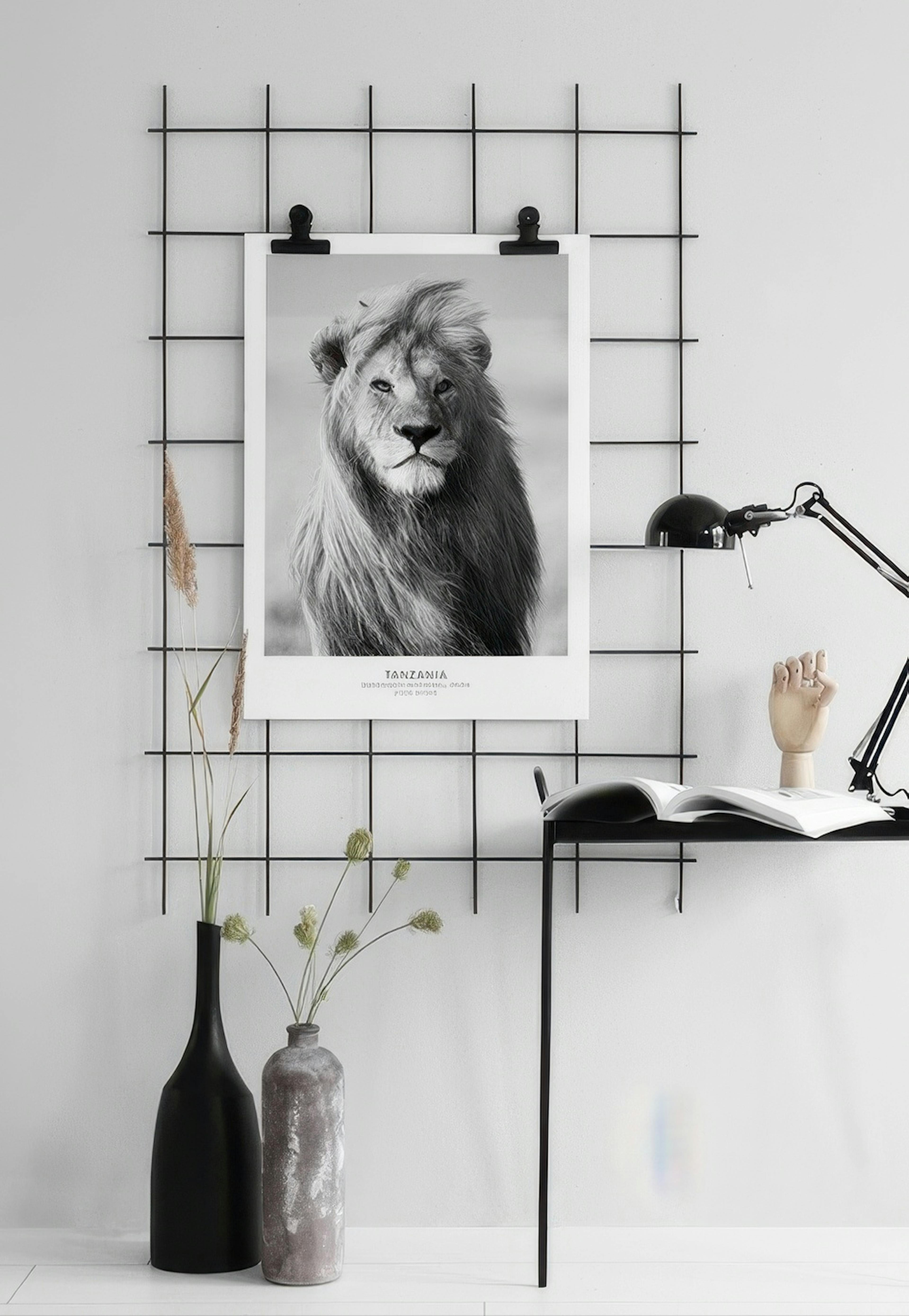 Lion, Posters