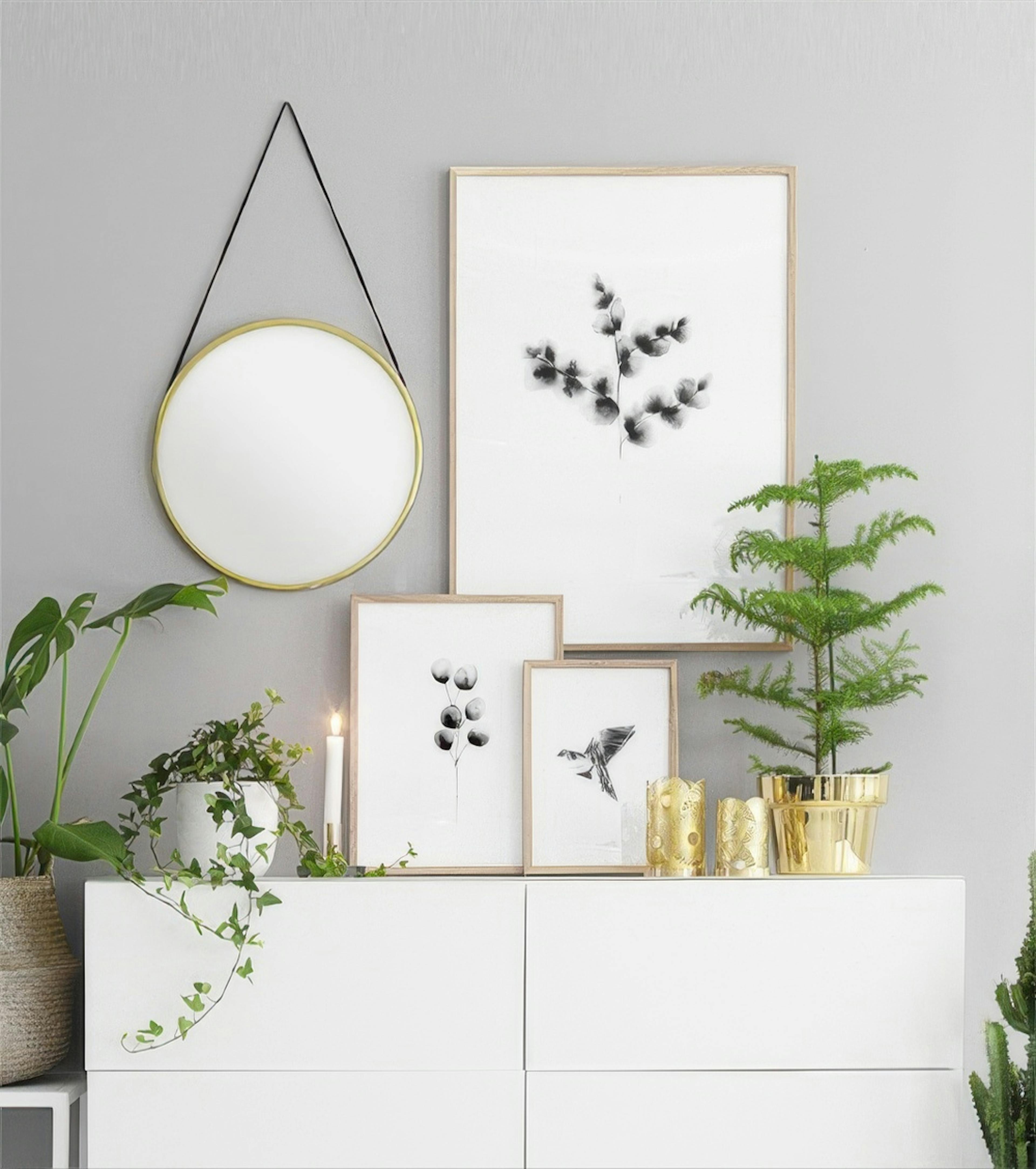Eucalyptus Plant Black, Print