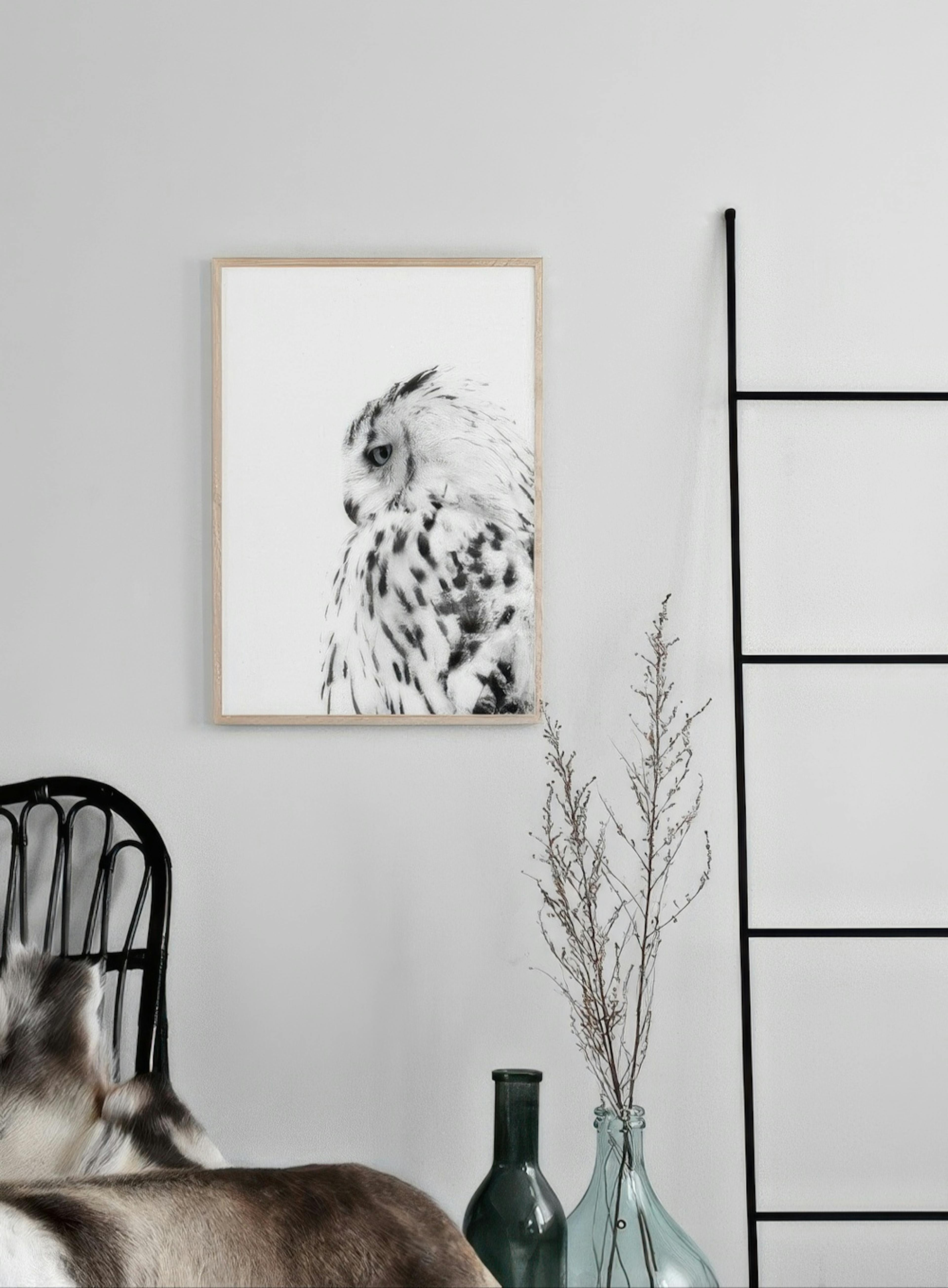 White Owl, Print