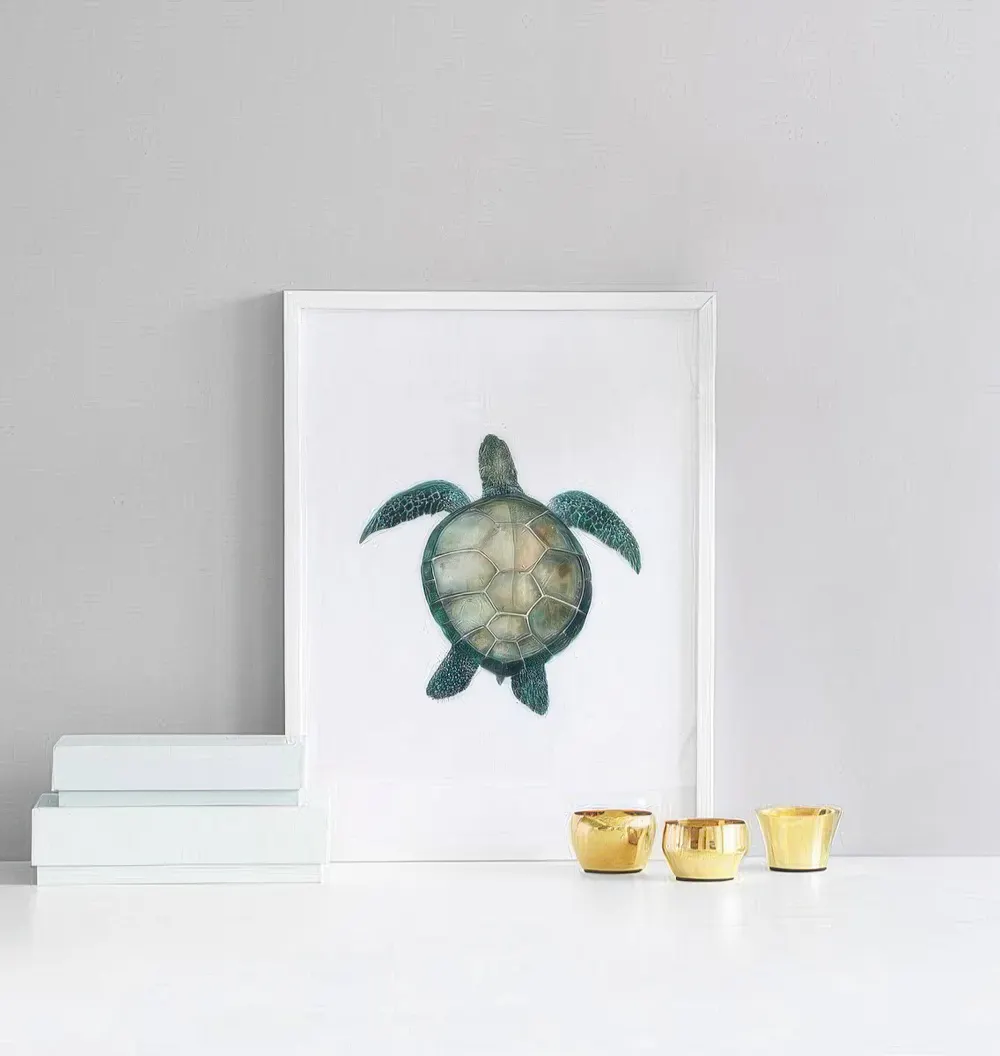 Sea Turtle, Poster