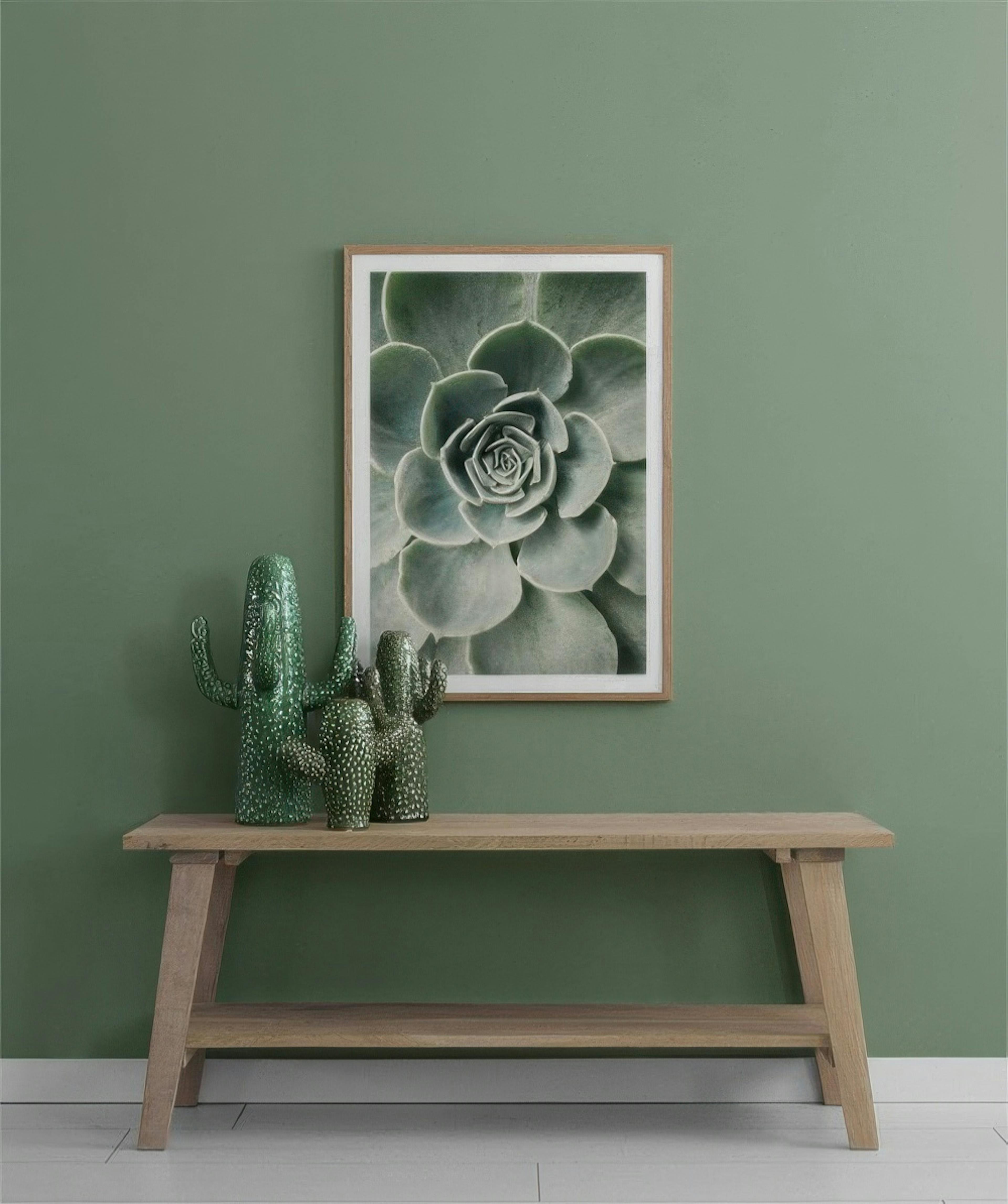 Cactus Flower Affiche