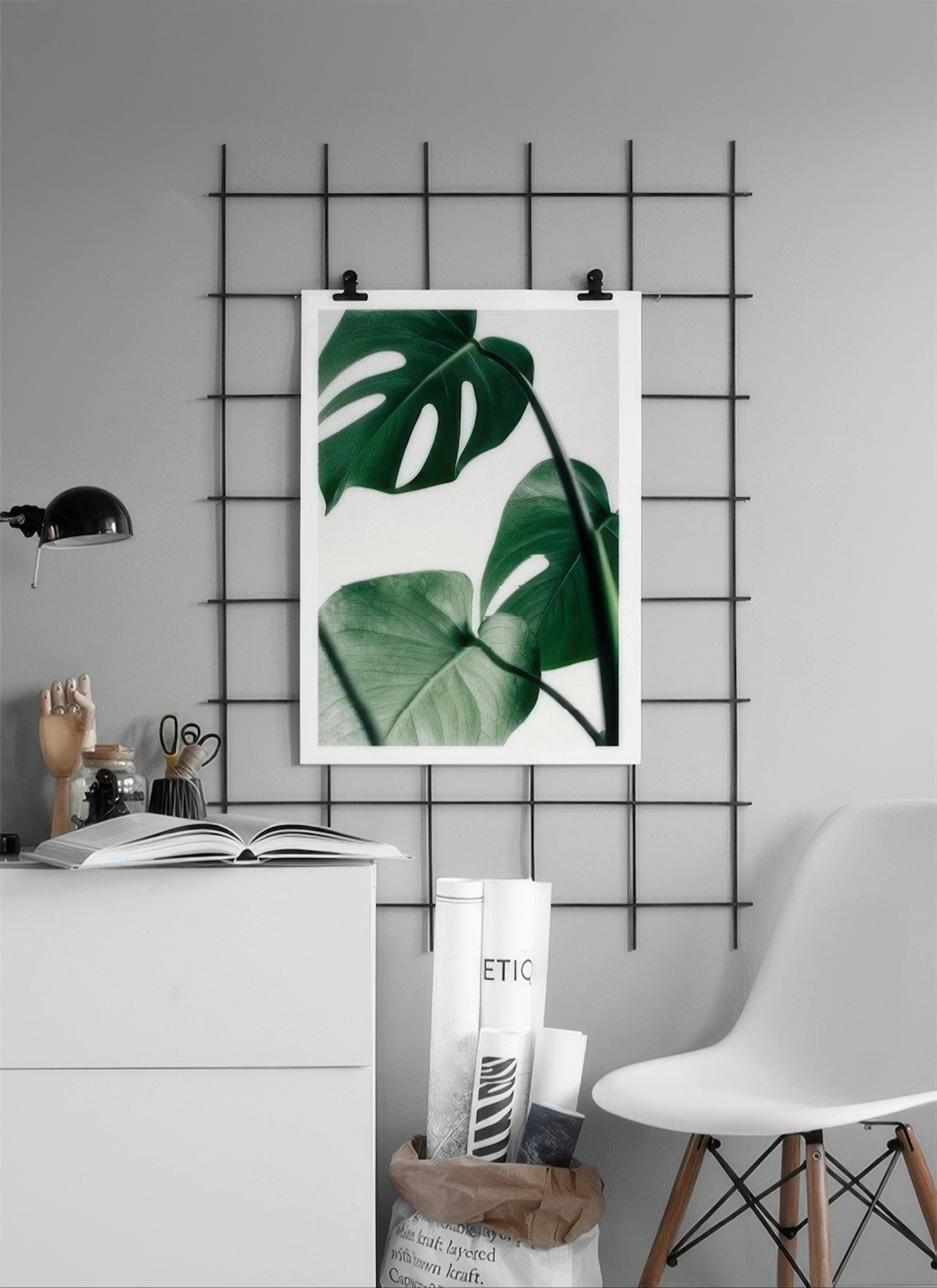 Monstera Three Plagát