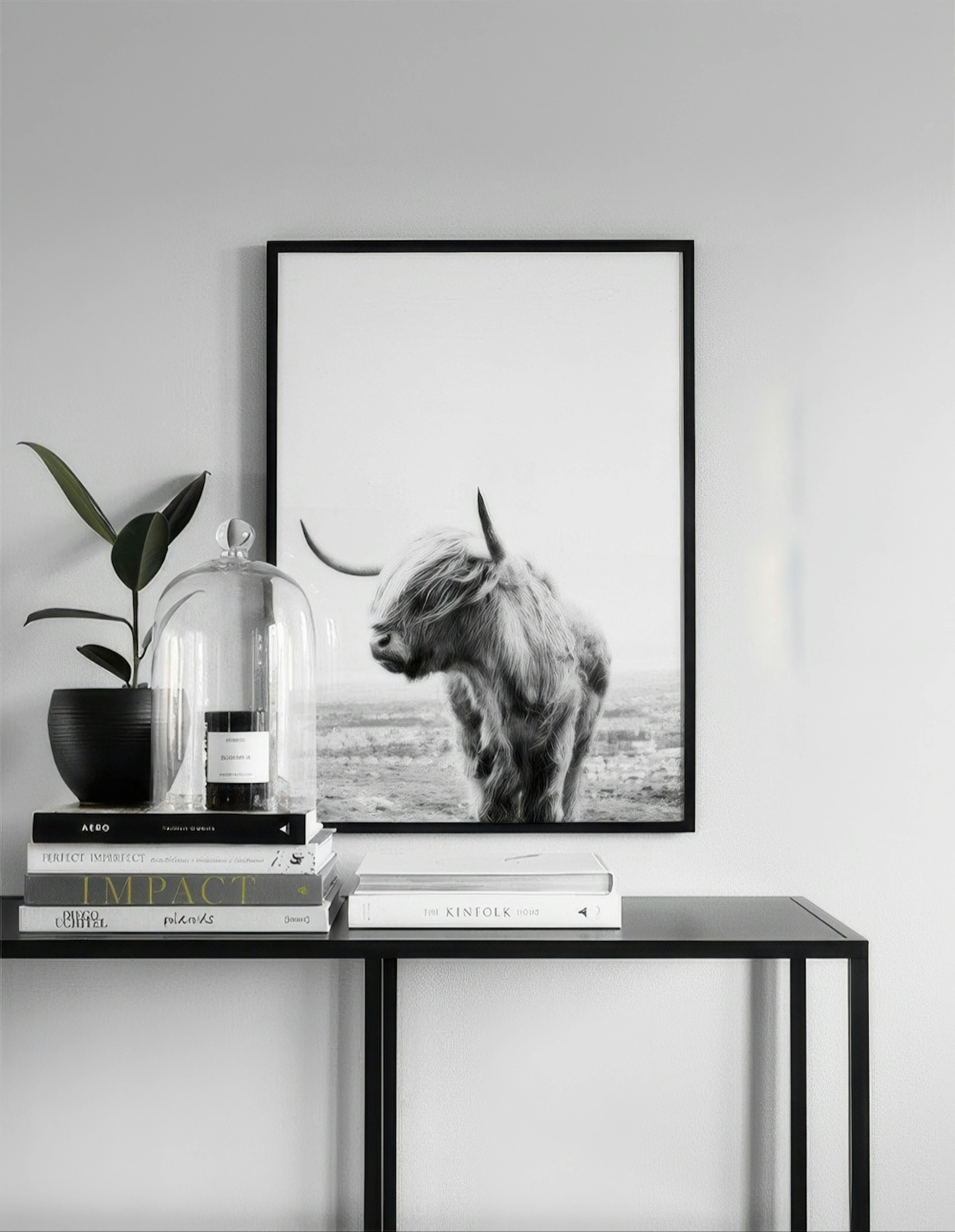 Highland Cow