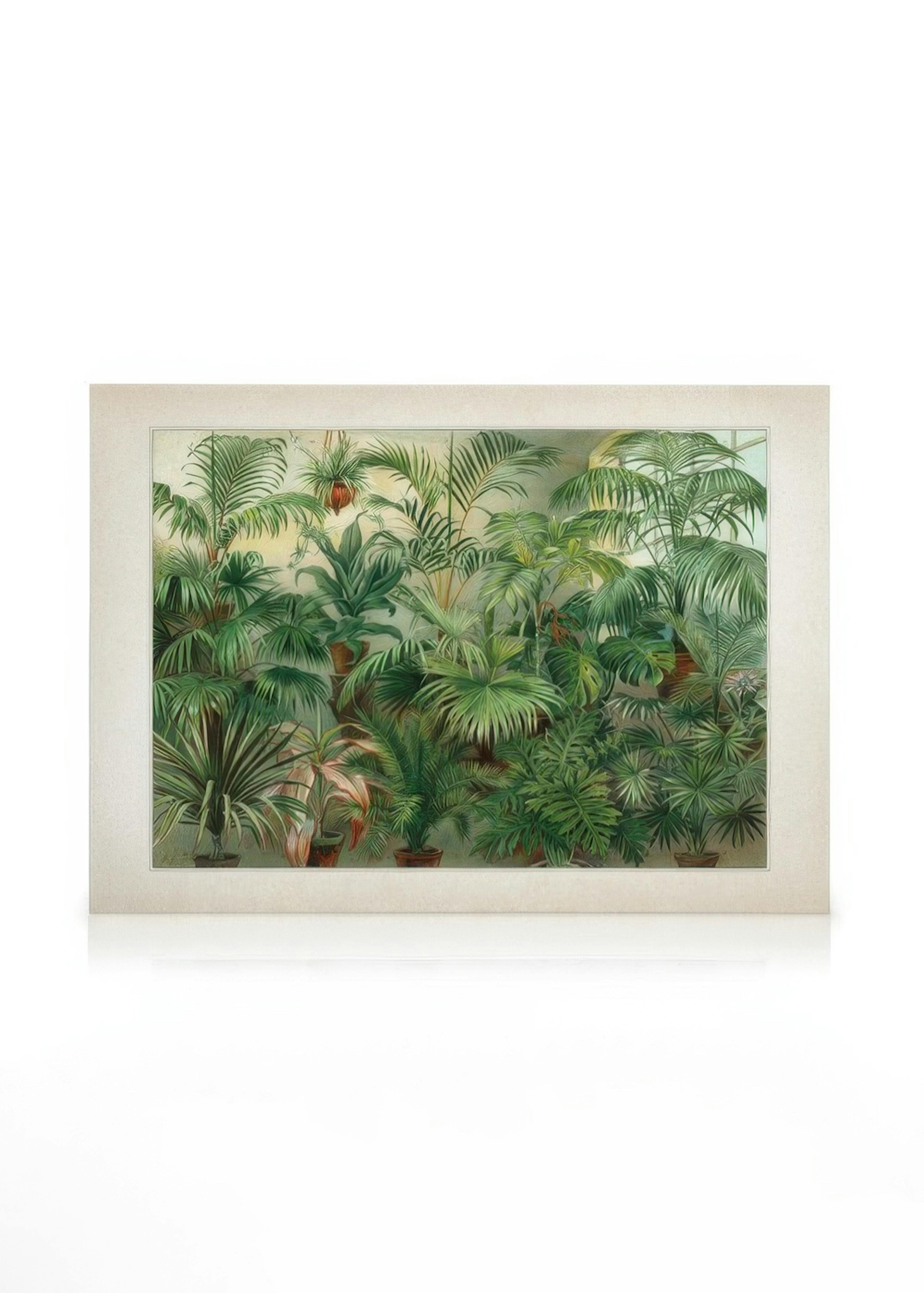 Vintage Print Collection No8 Lienzo