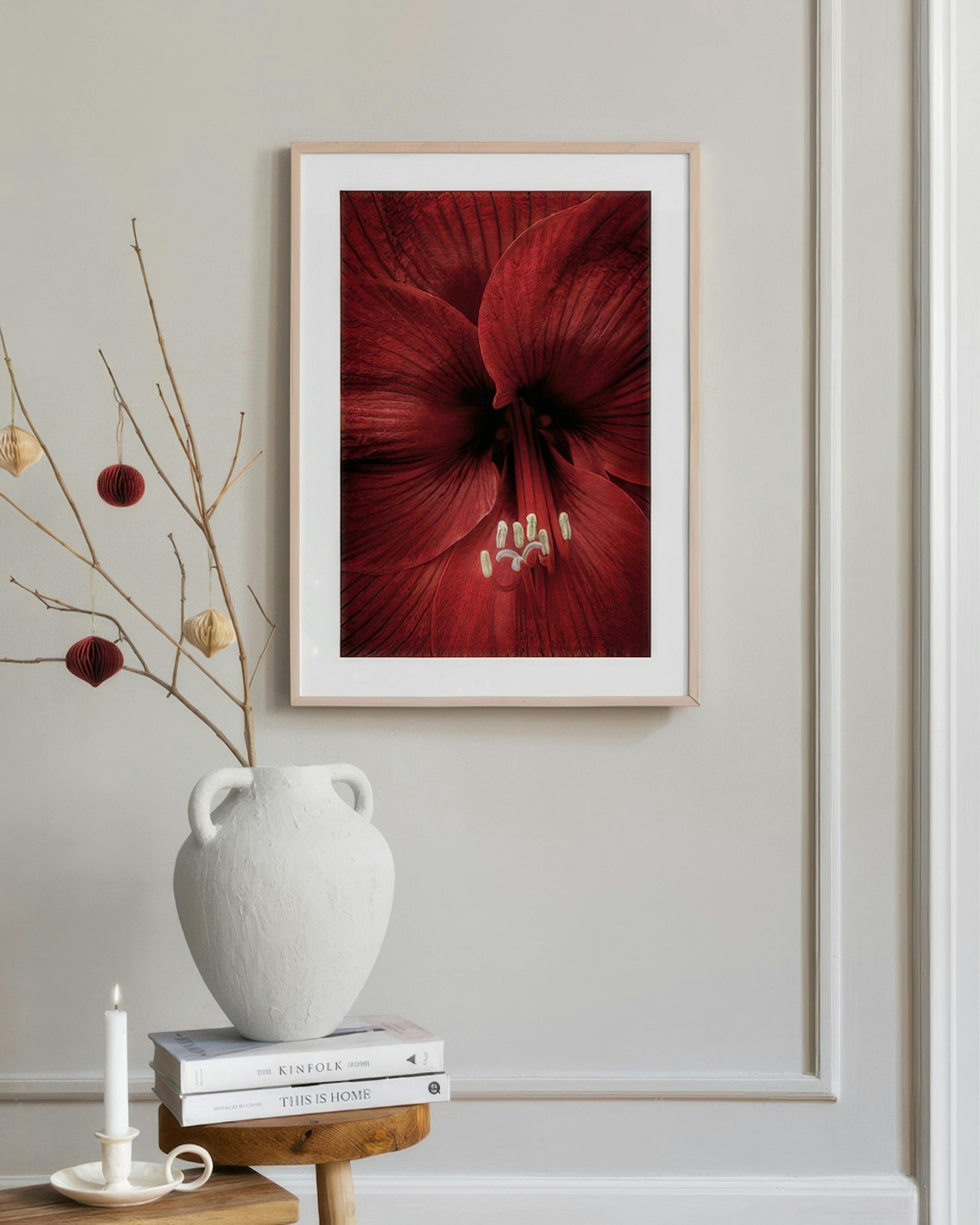 Red Amaryllis Poster