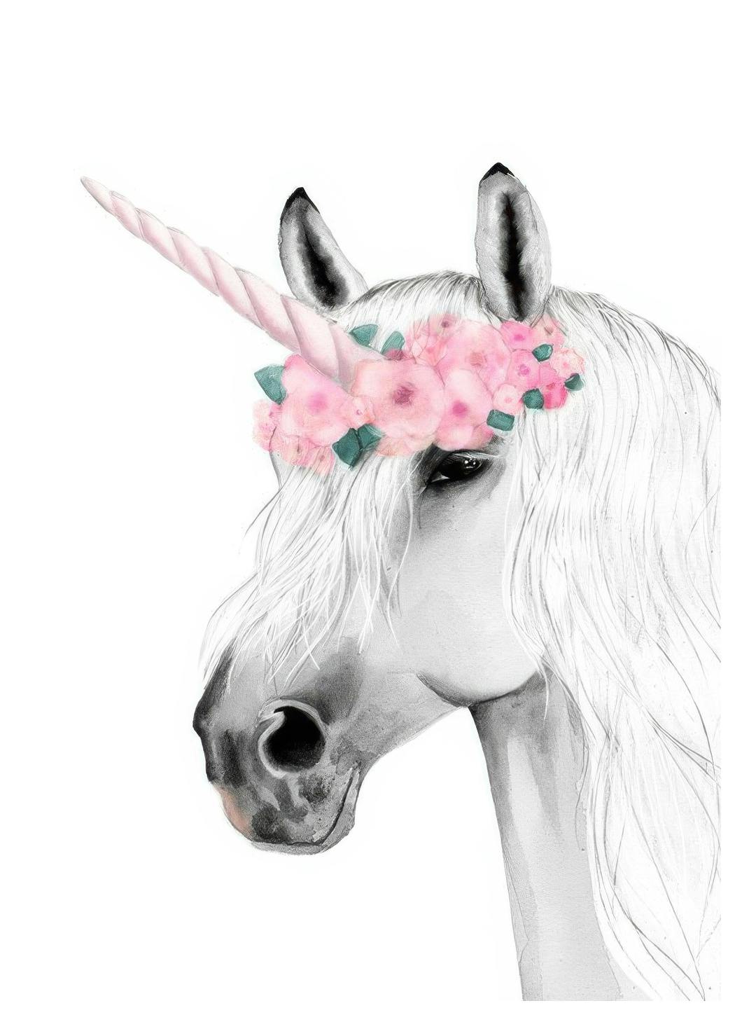 Unicorn Drawing Affiche (21x30 cm)  Affiches pour enfants