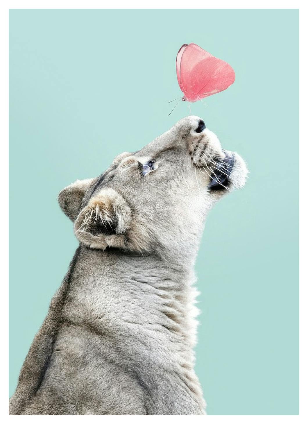 New Friend No1 Poster (30x40 cm)- Quadri per bambini