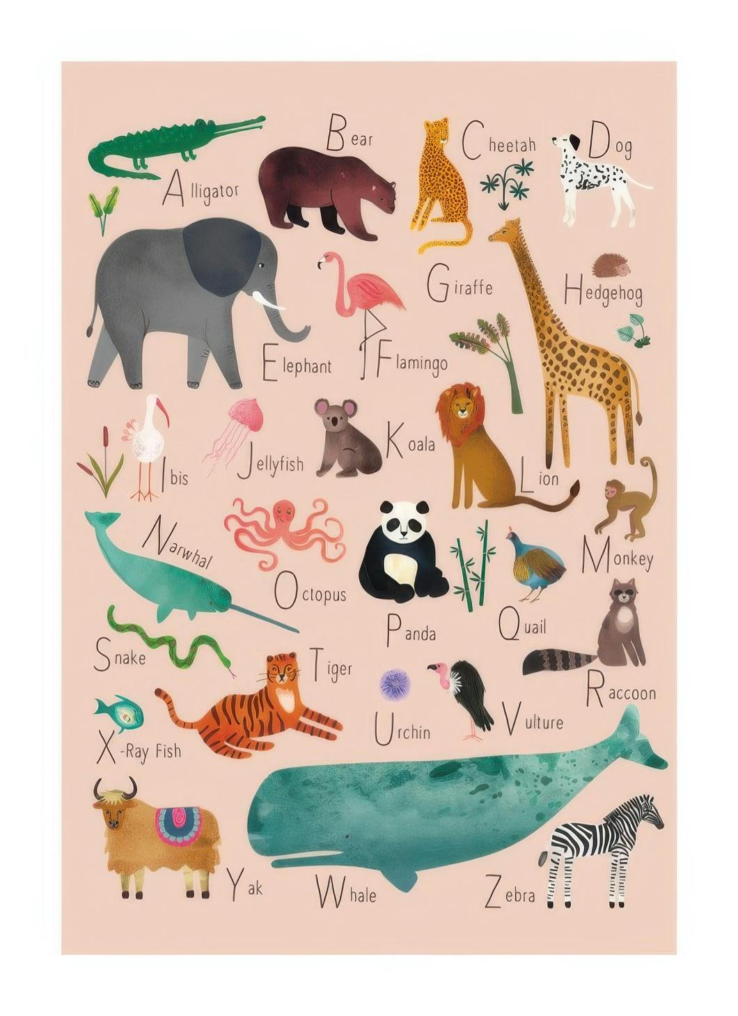 Alphabet Animals 1 Plakat (21x30 cm)- Plakaty z alfabetem