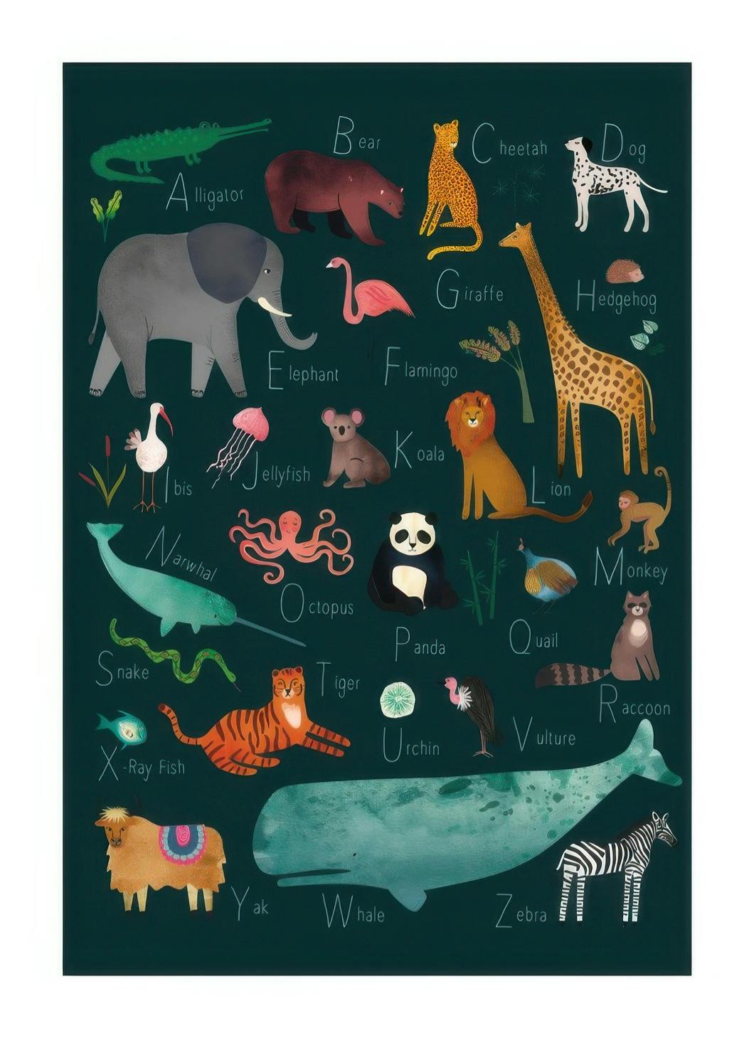 Alphabet Animals 2 Plakat (21x30 cm)- Plakaty z alfabetem