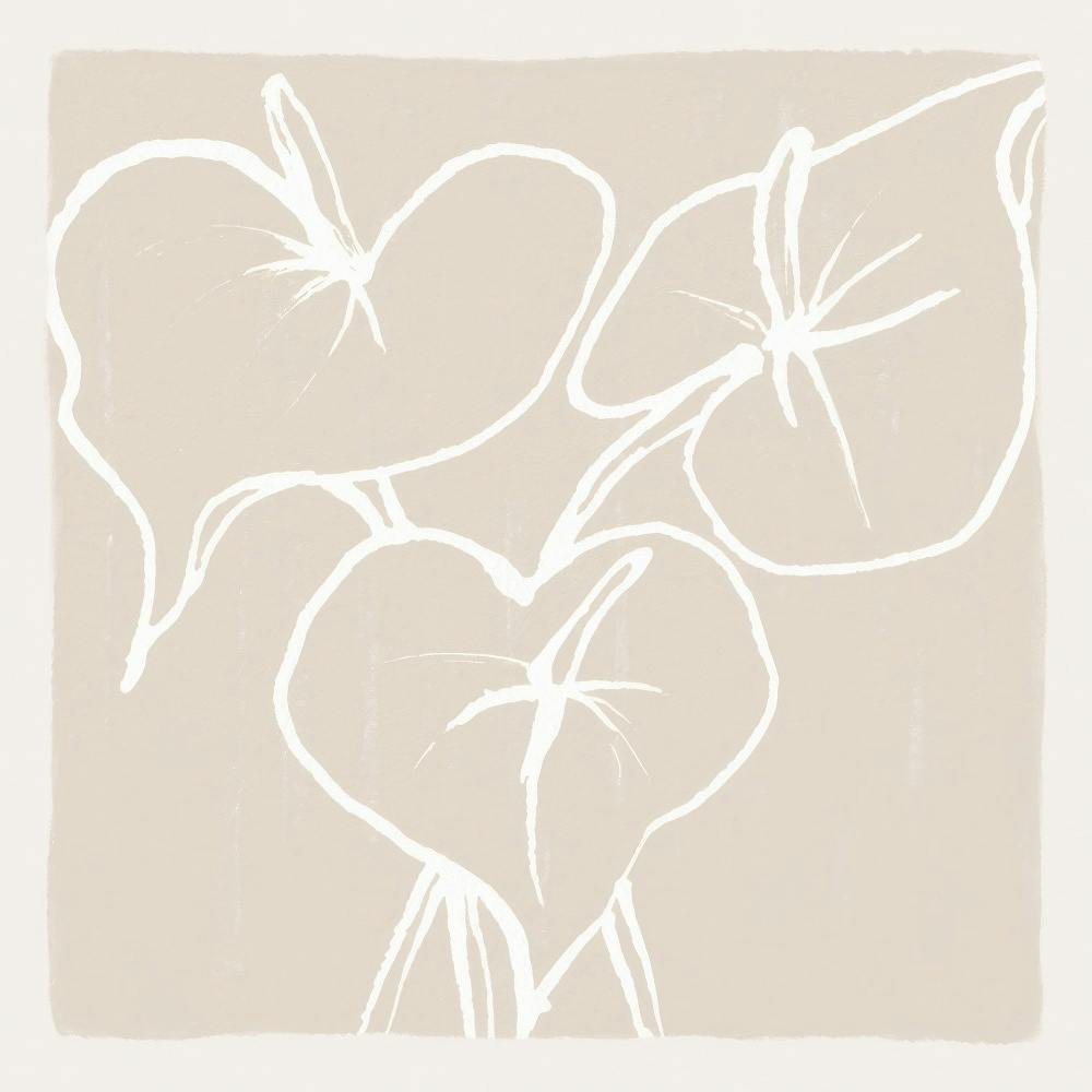 Anthurium Lines poster print with white outlined flowers on a beige background