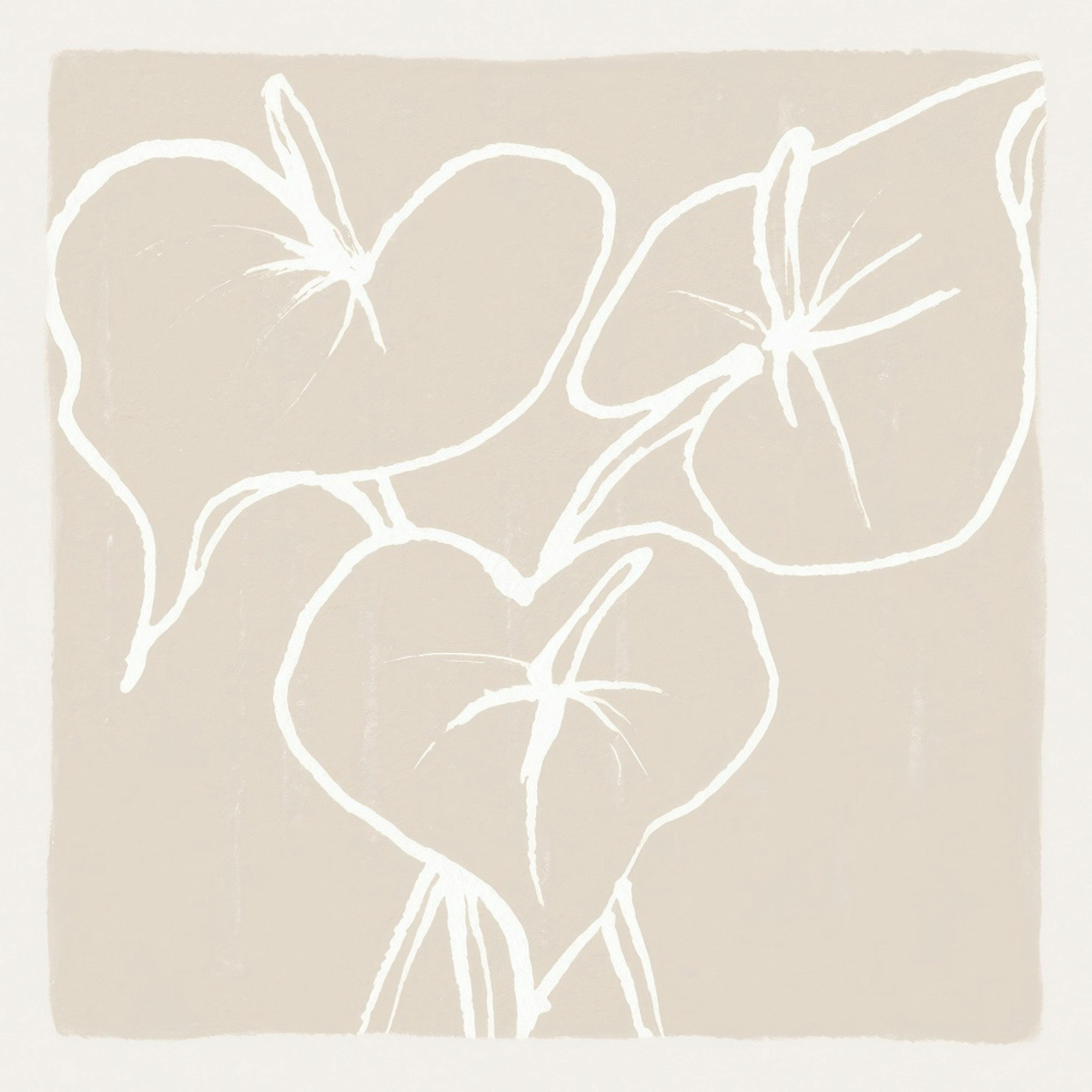 Anthurium Lines Print 0