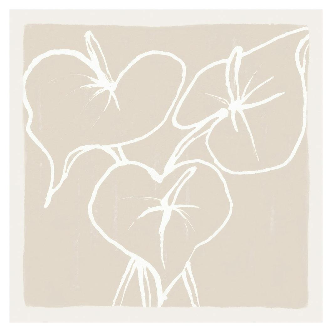 Anthurium Lines Poster (50x50 cm) - Groene planten