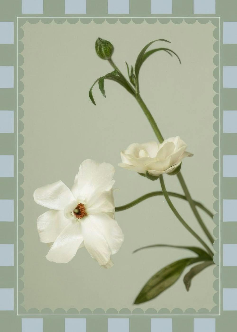 Póster Checkered Flower No1 com flores brancas em fundo verde, borda quadriculada, estilo minimalista clássico, granulado.