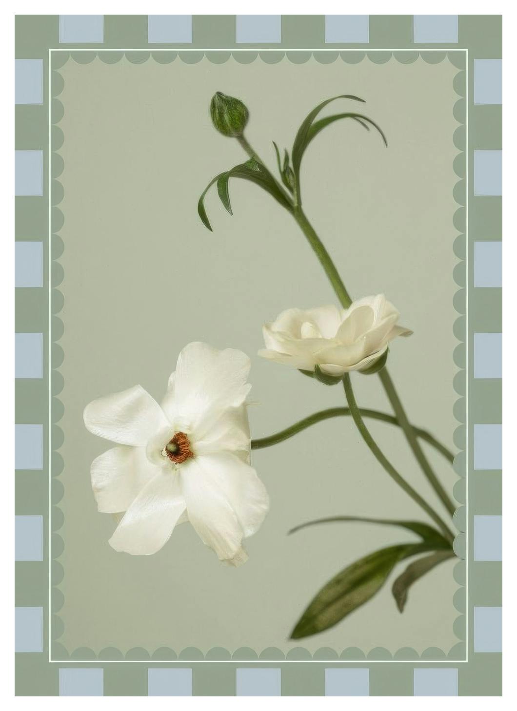 Checkered Flower No1 Affiche (21x30 cm) - Tableaux de fleurs