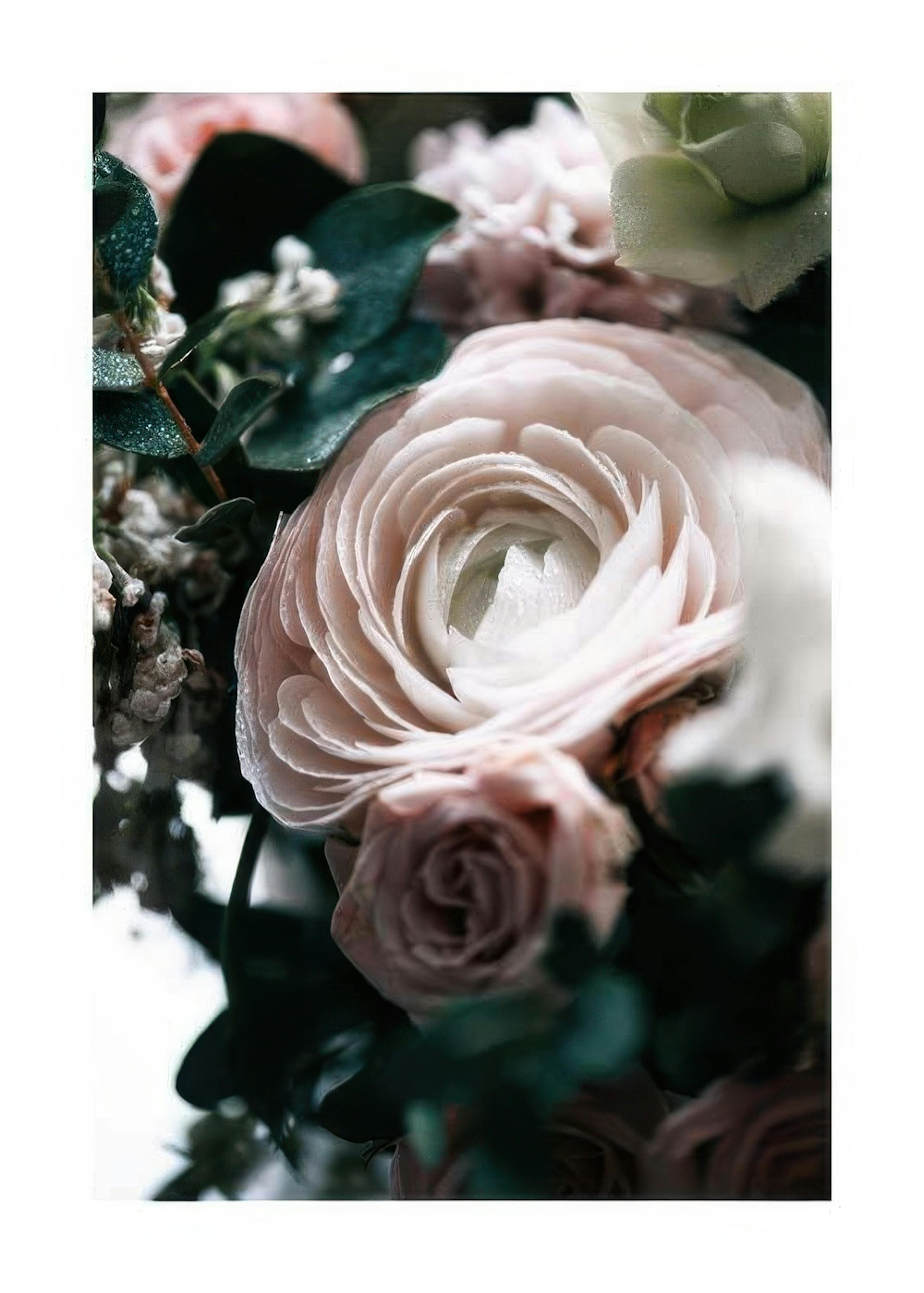 Boquet One Poster 0