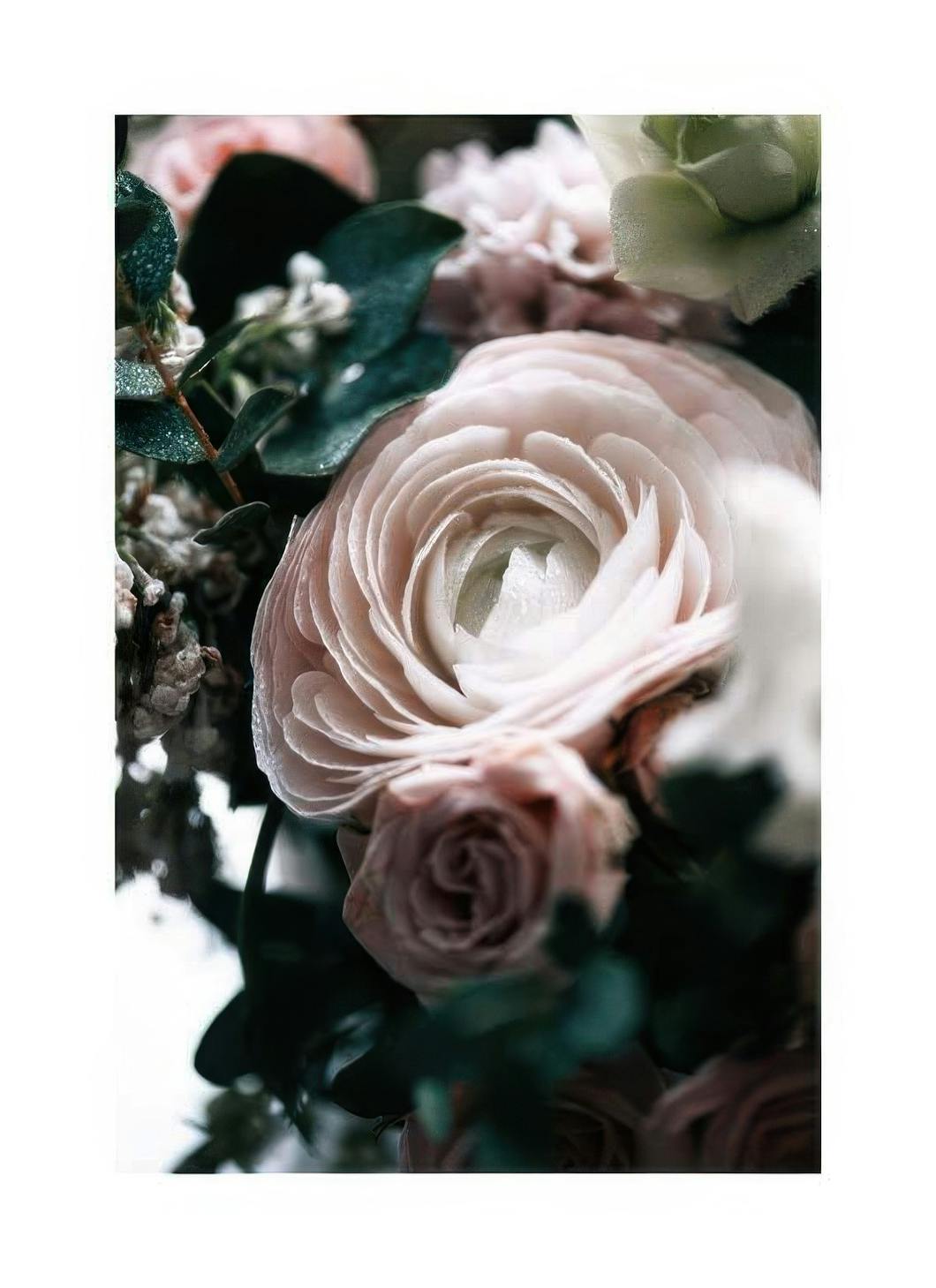 Boquet One Poster (21x30 cm) -  Poster mit Blumenmotiven