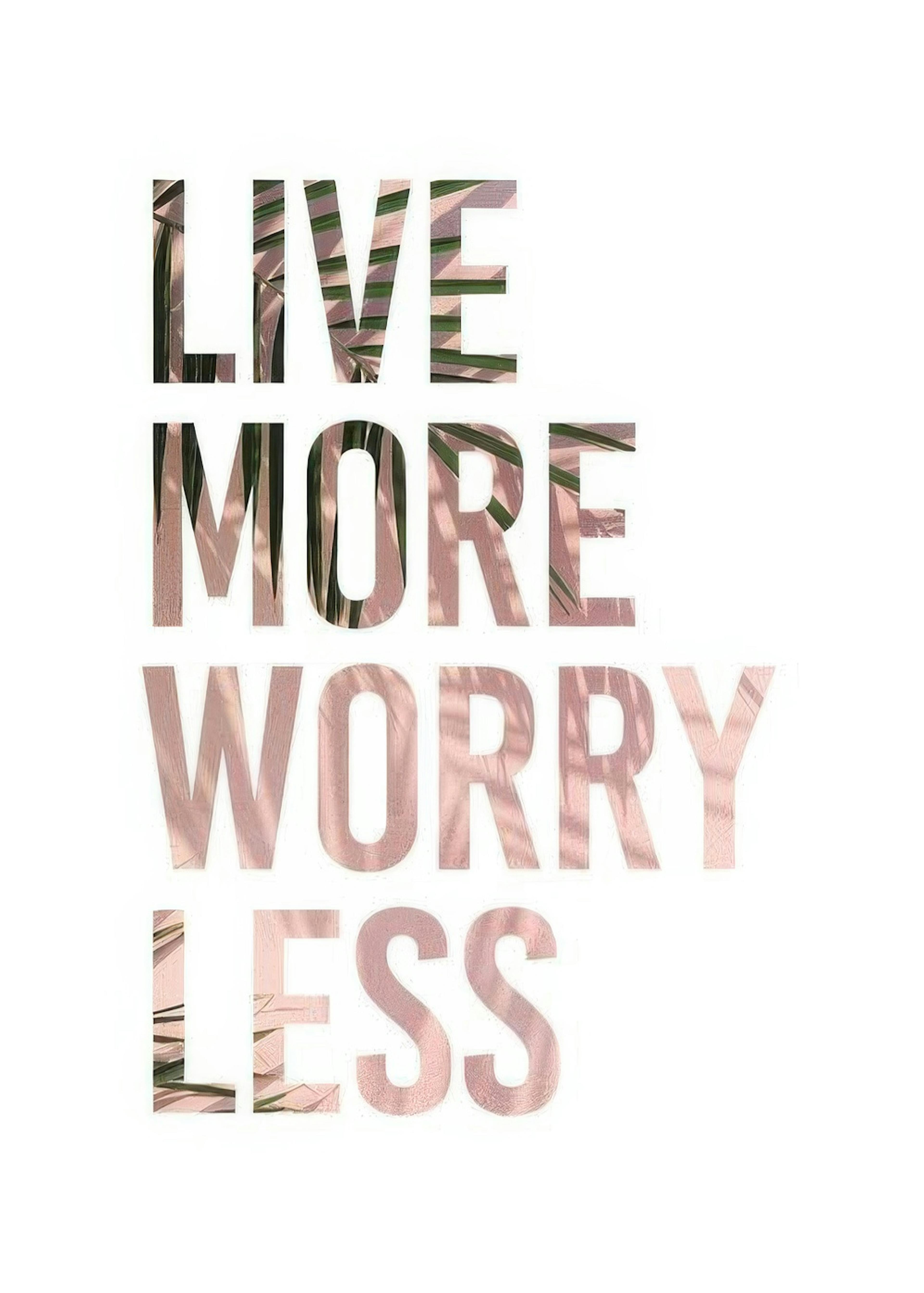 Live More 포스터 0
