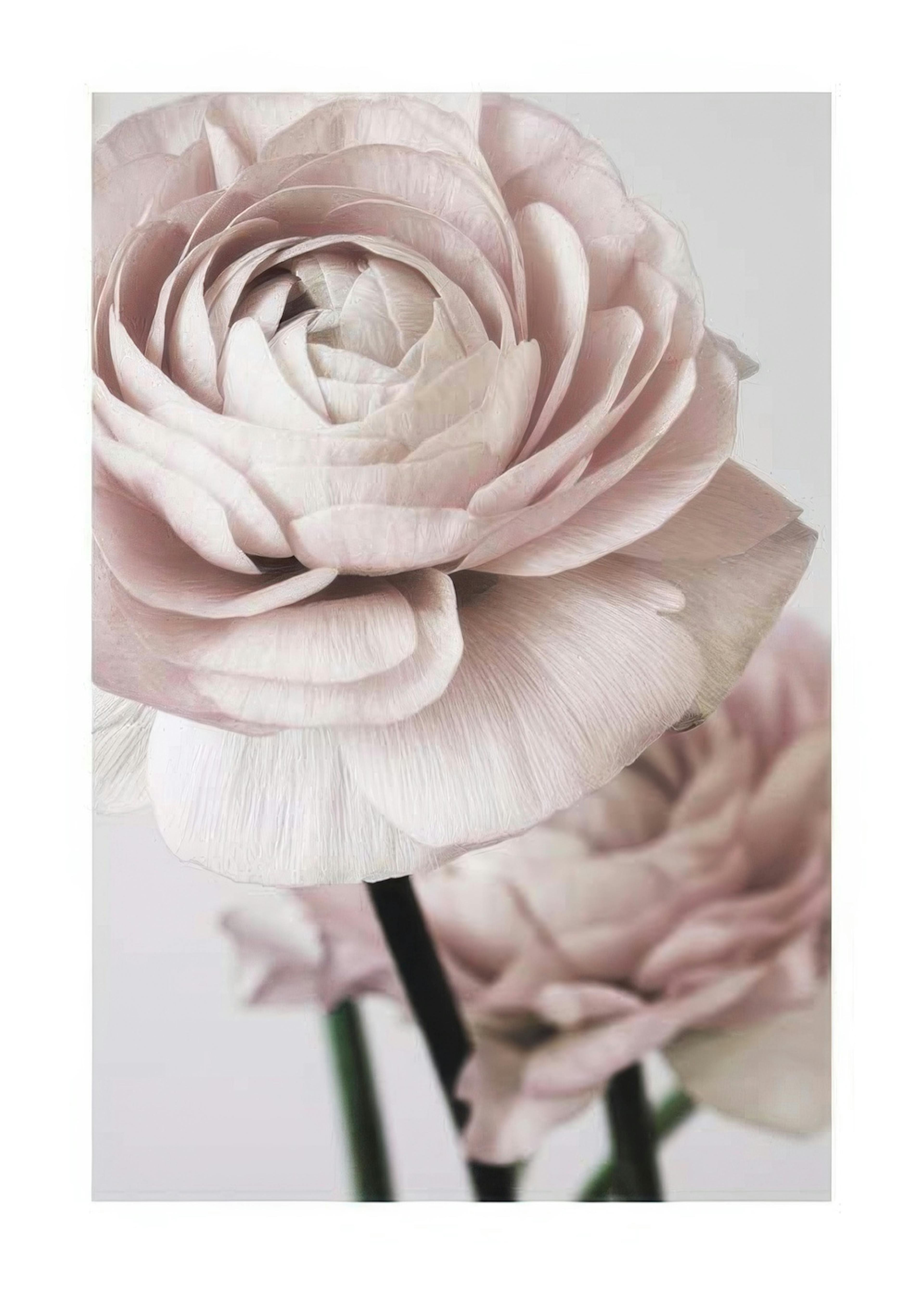 Pink Flower Dream No2 Print 0