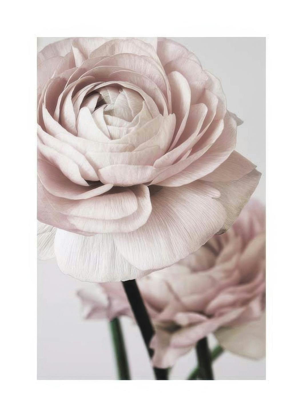 Prints - Pink Flower Dream No2 Print (21x30 cm) - Photography prints
