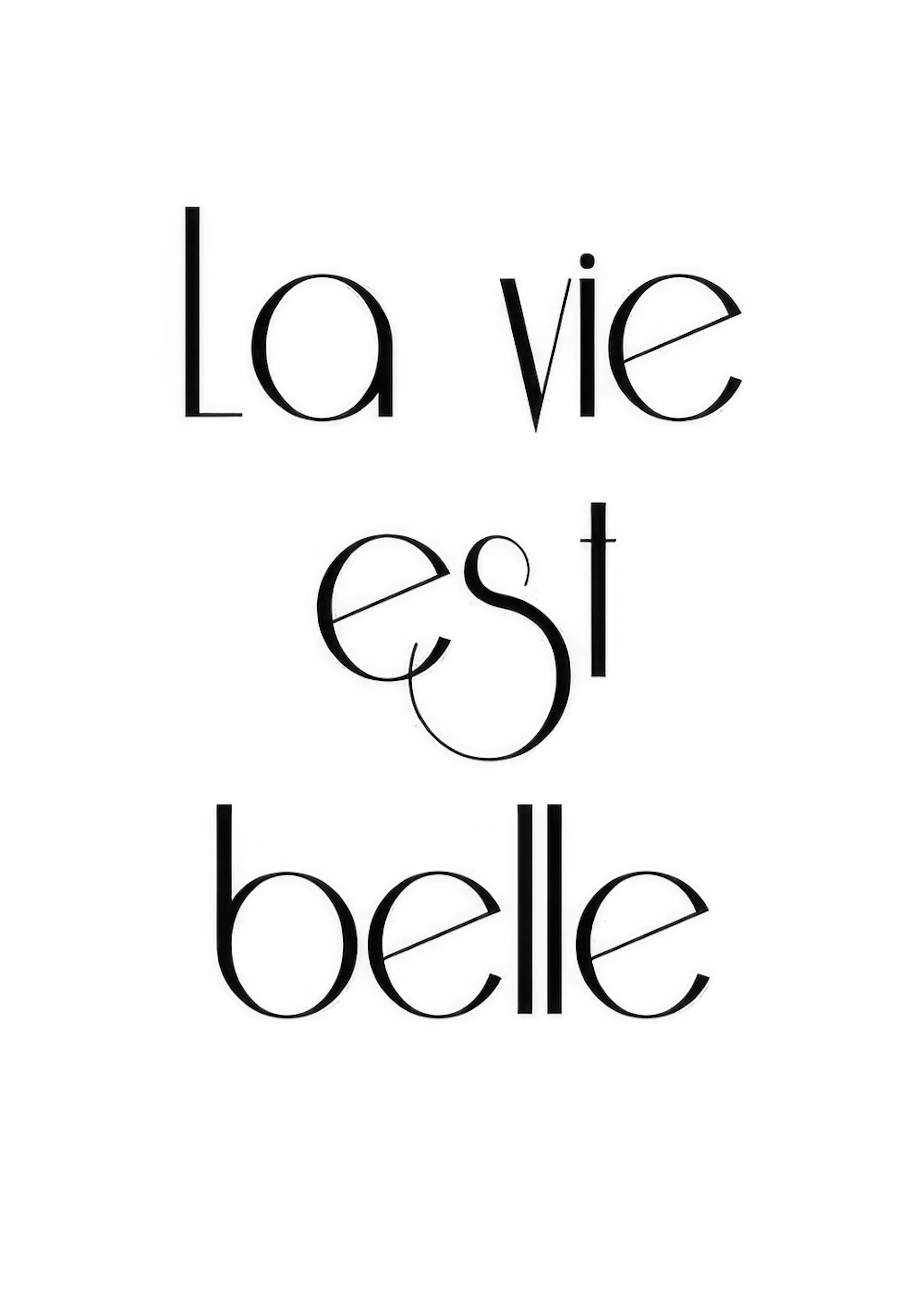 La Vie Est Belle, Affisch 0