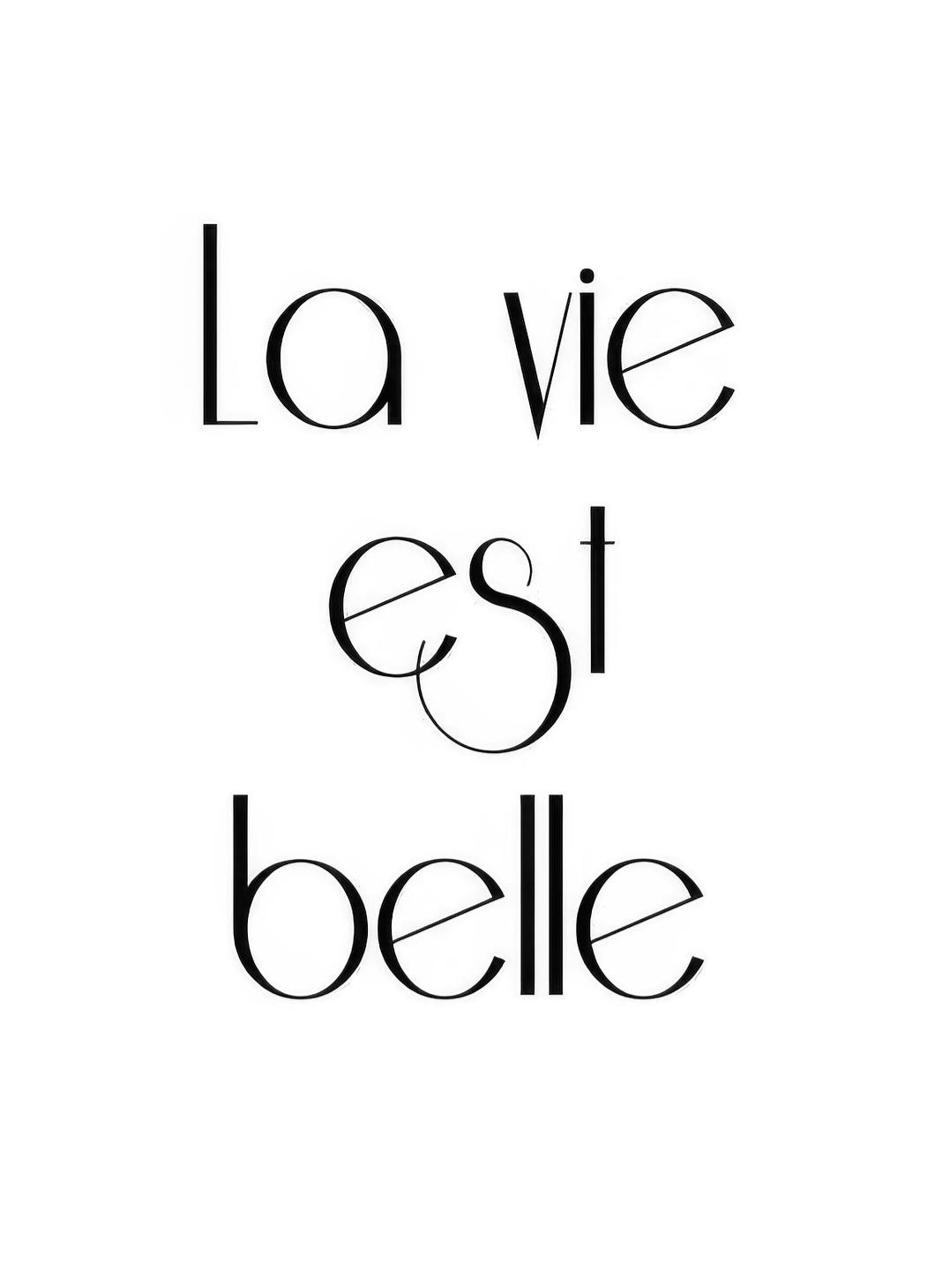 La Vie Est Belle, Poster (30x40 cm) -  Schwarz-Weiß-Bilder